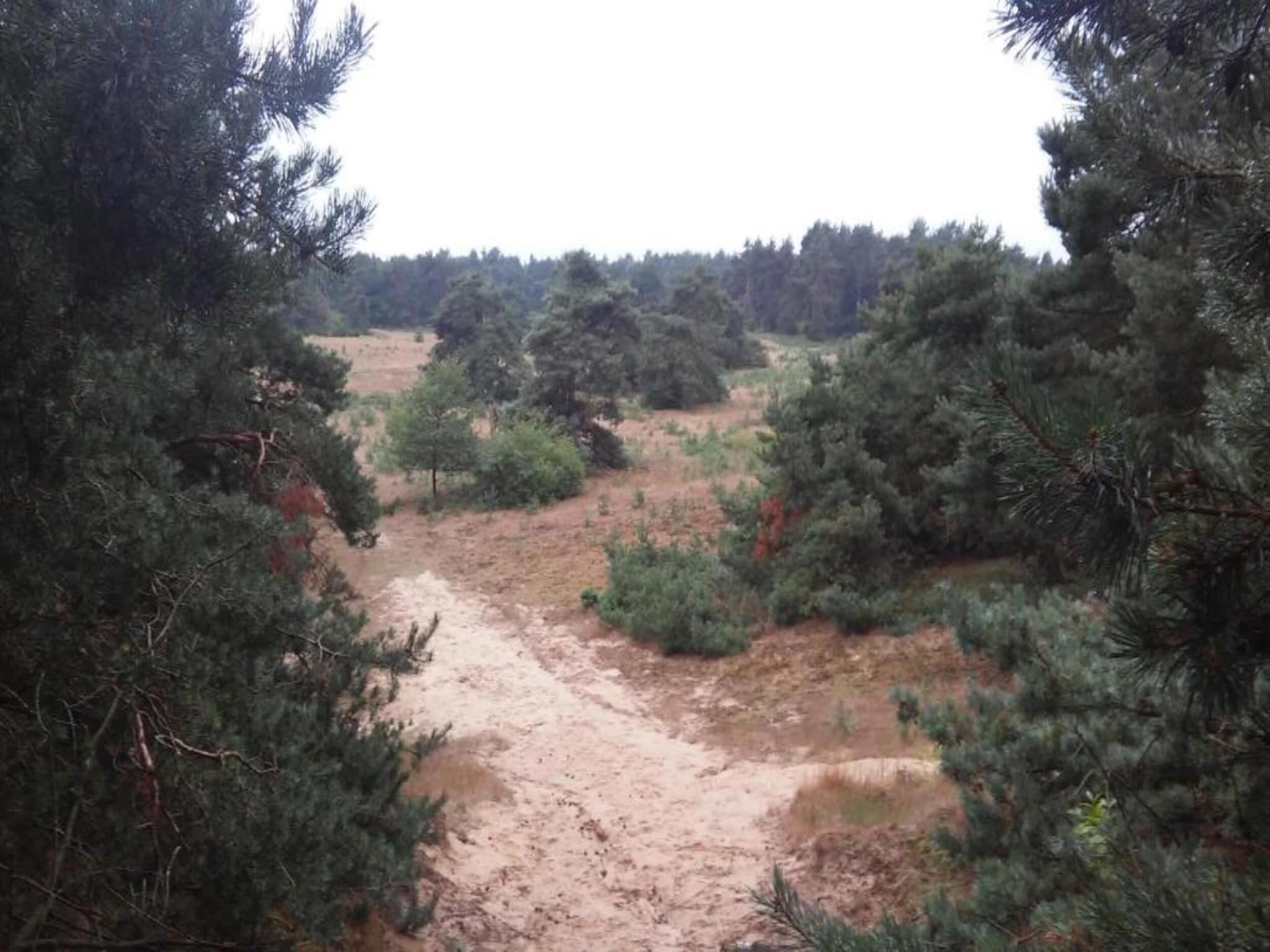 Landgoed De IJsvogel 6 in Voorthuizen - Foto 30 van 40