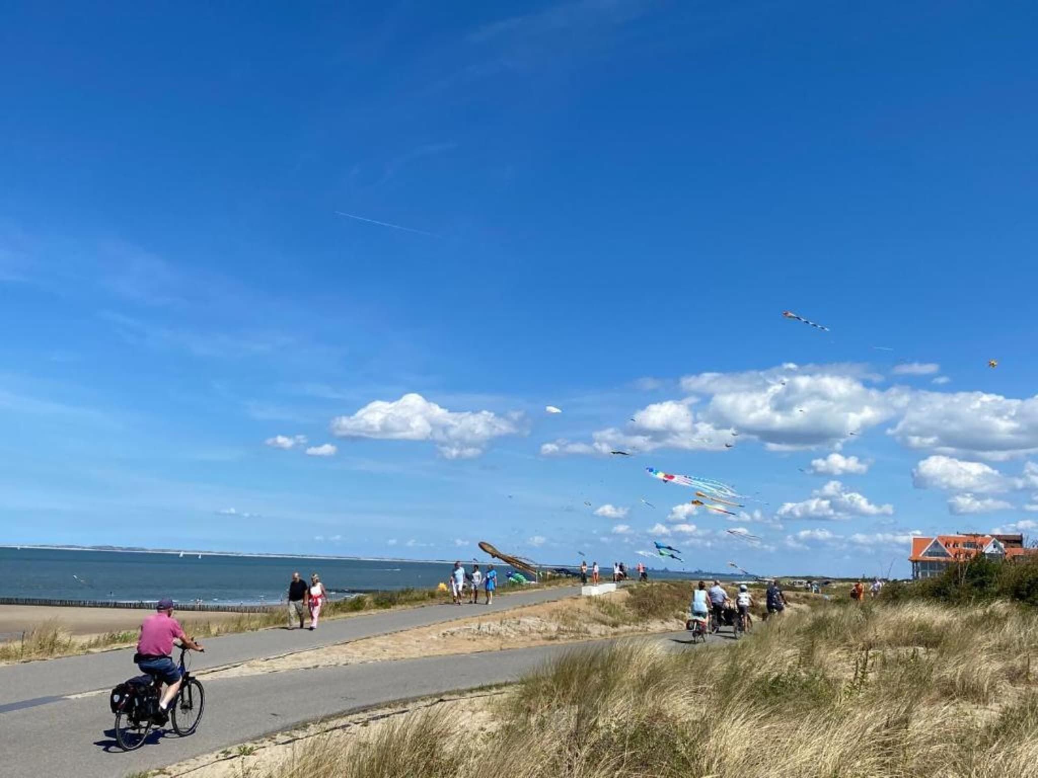 De omgeving van Vakantiepark Zeebad 8 in Breskens