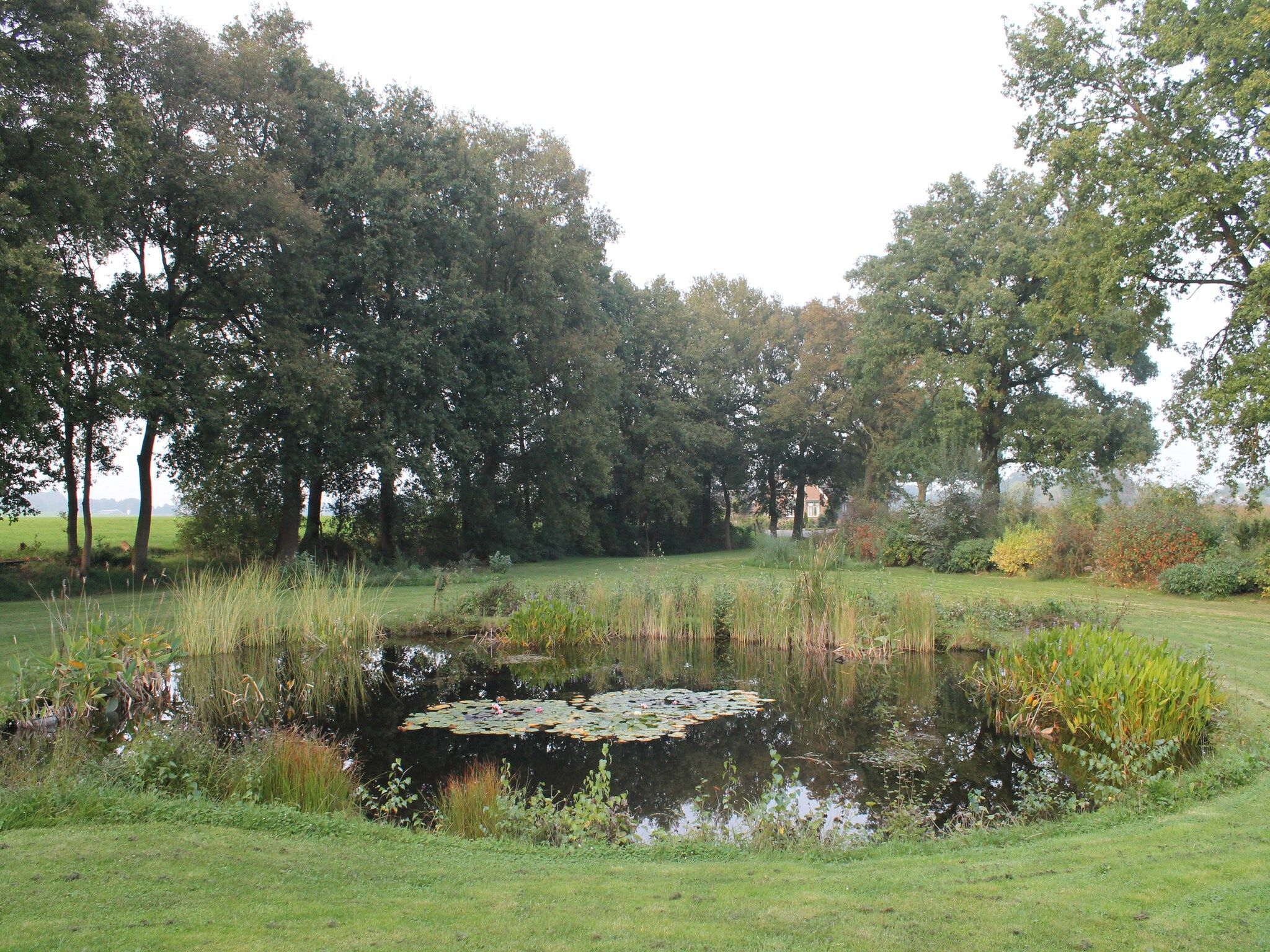 De tuin van Villa Luttenberg in Luttenberg