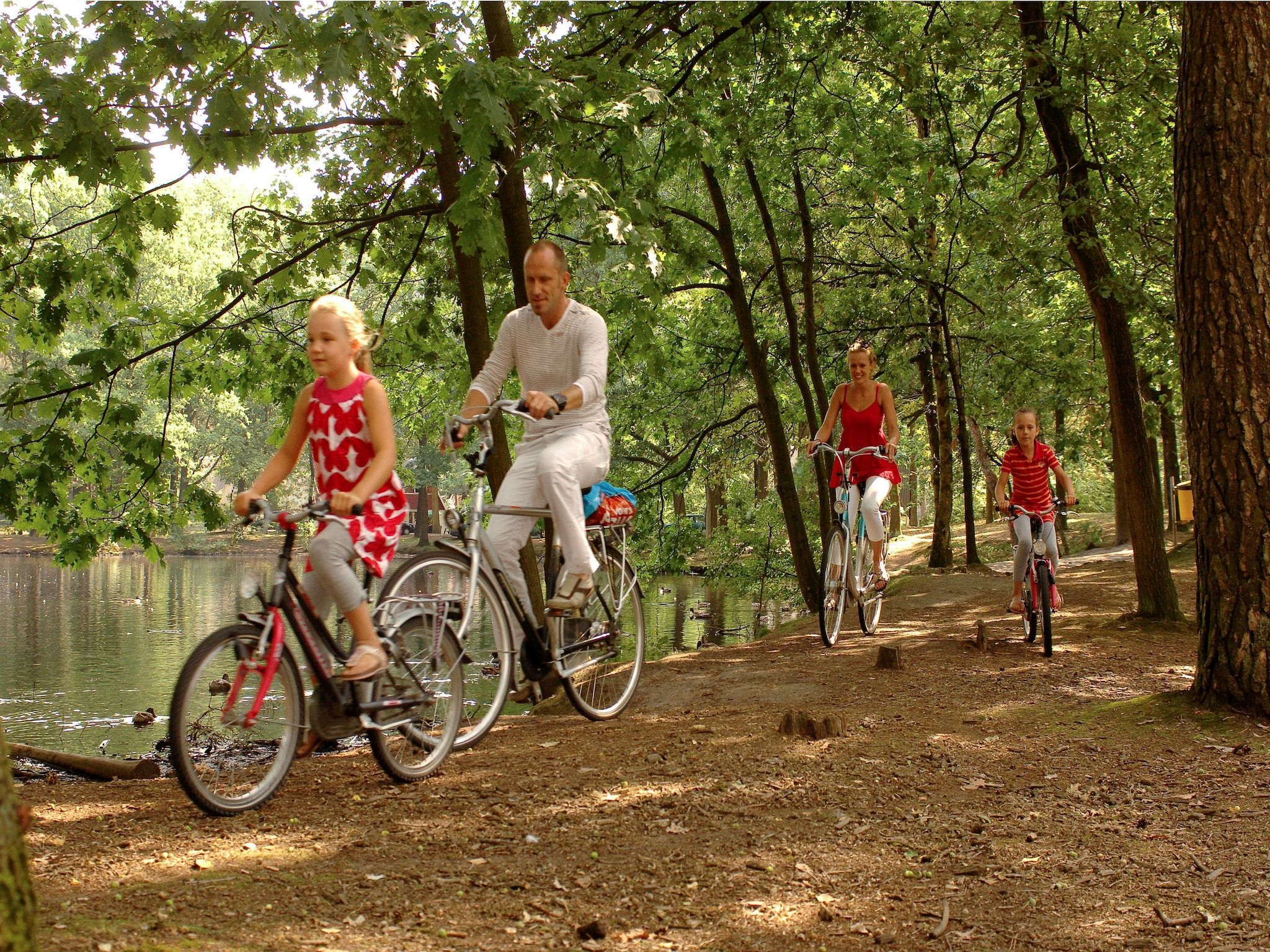 Parkfaciliteiten bij Bospark 't Wolfsven 7 in Mierlo