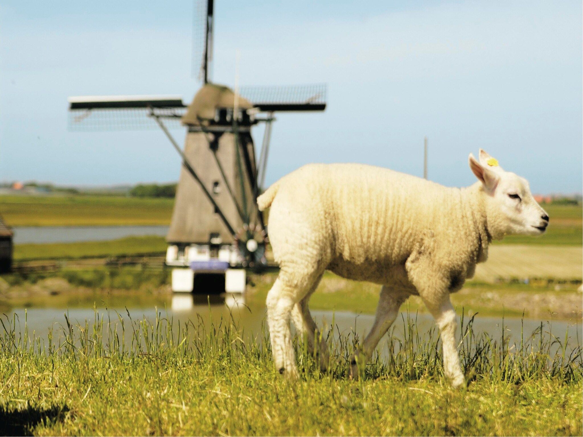 Sfeerbeeld van Kustpark Texel 5 in De Koog