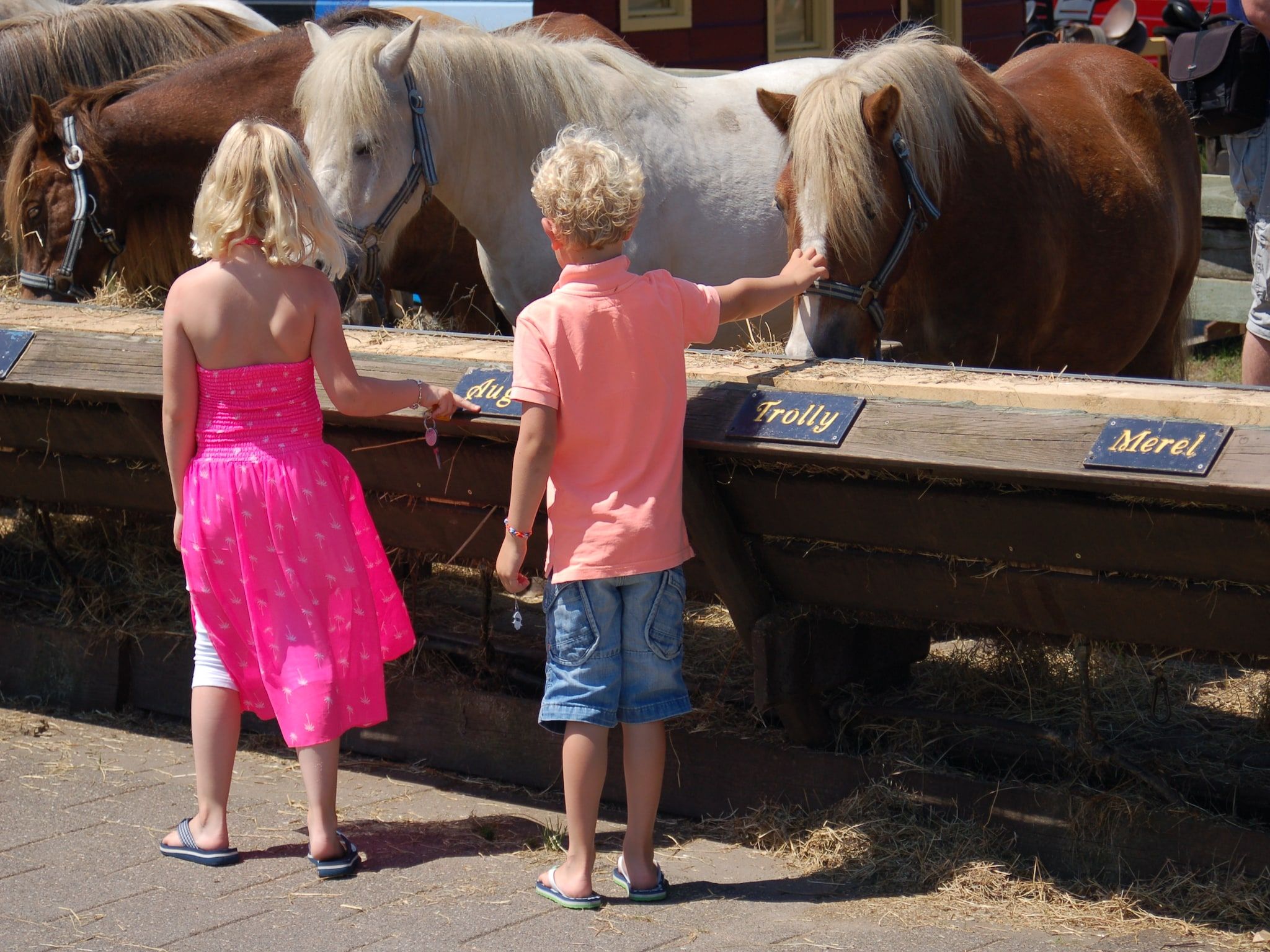 Sfeerbeeld van Kustpark Texel 5 in De Koog