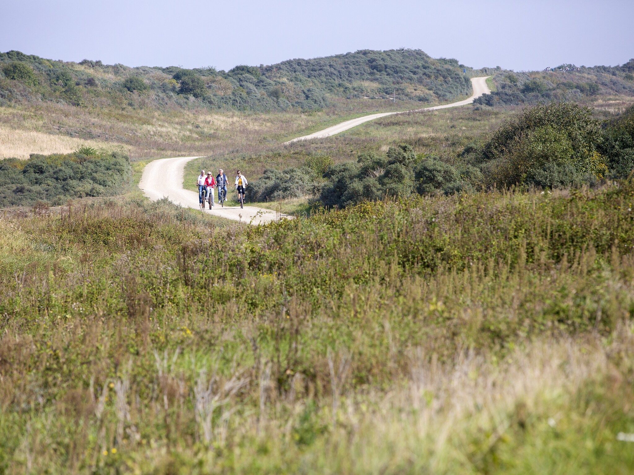 De omgeving van Strandpark Duynhille 4 in Ouddorp