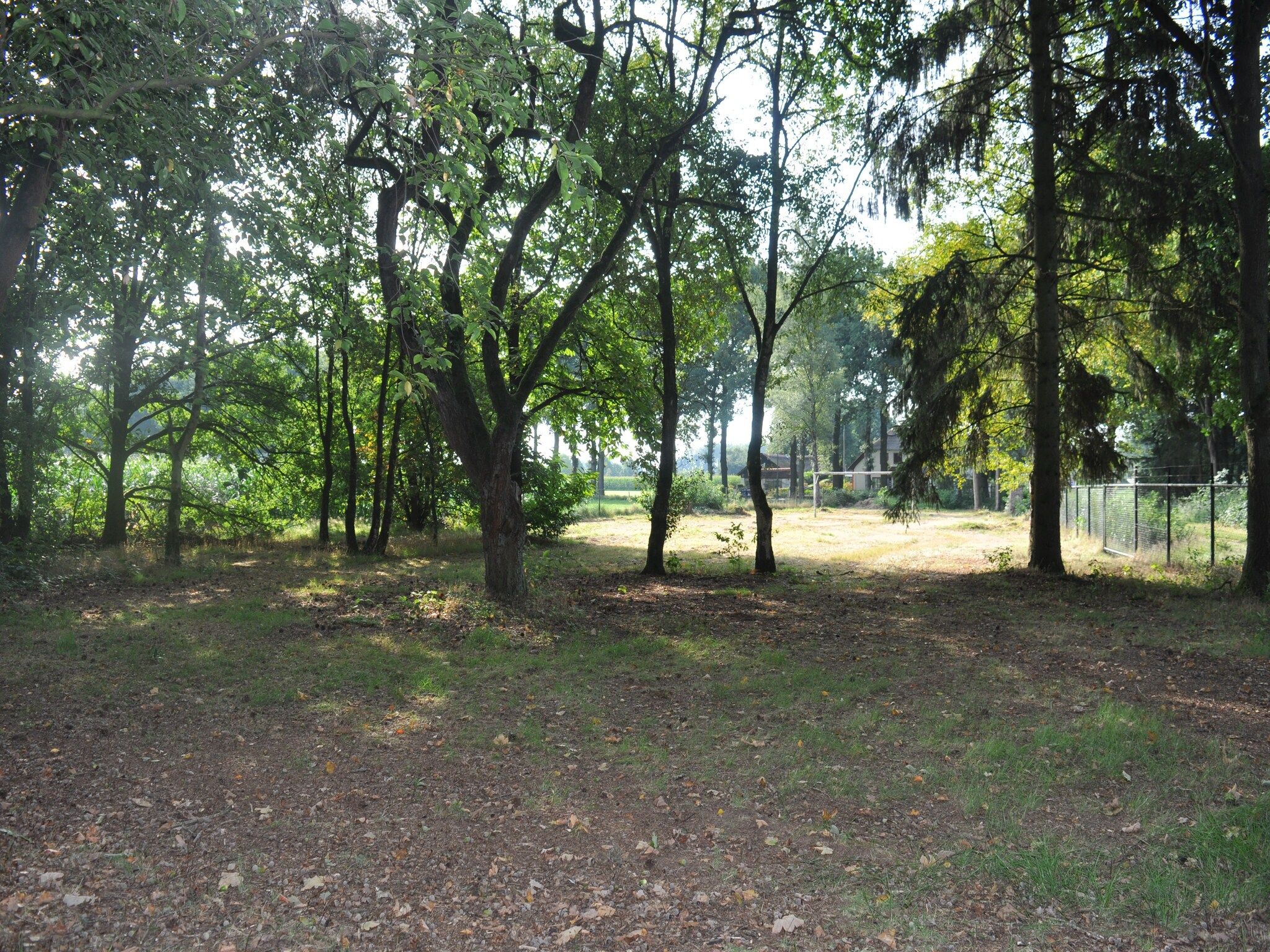 De tuin van Dorpswoning In het Bos in Leende
