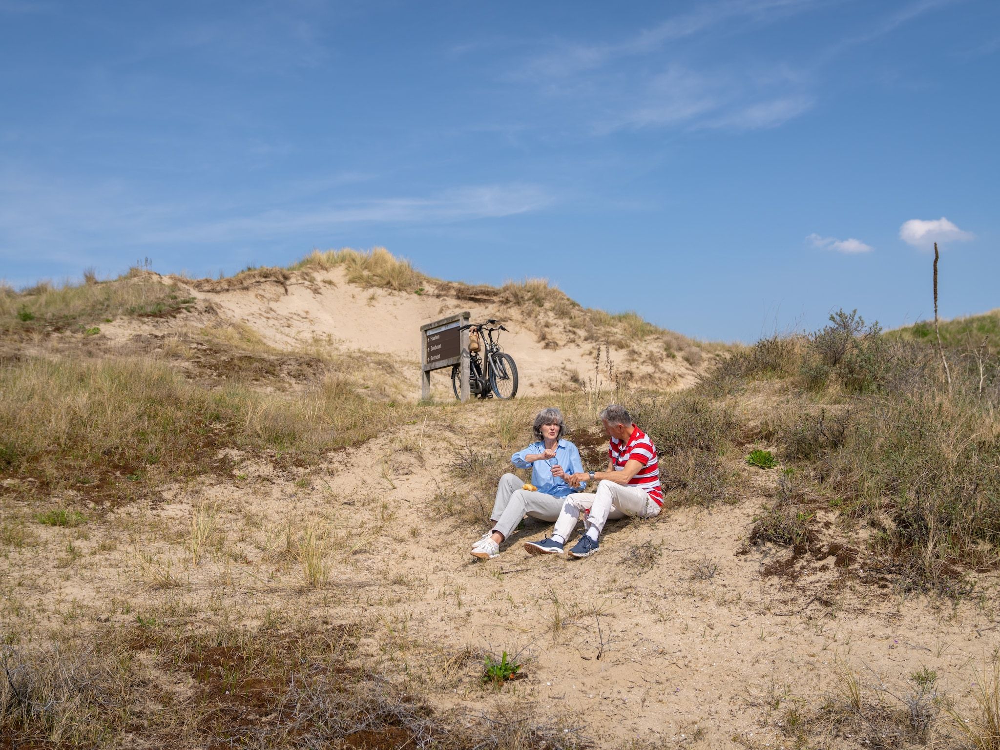 De omgeving van Sea Lodges Zandvoort 3 in Zandvoort