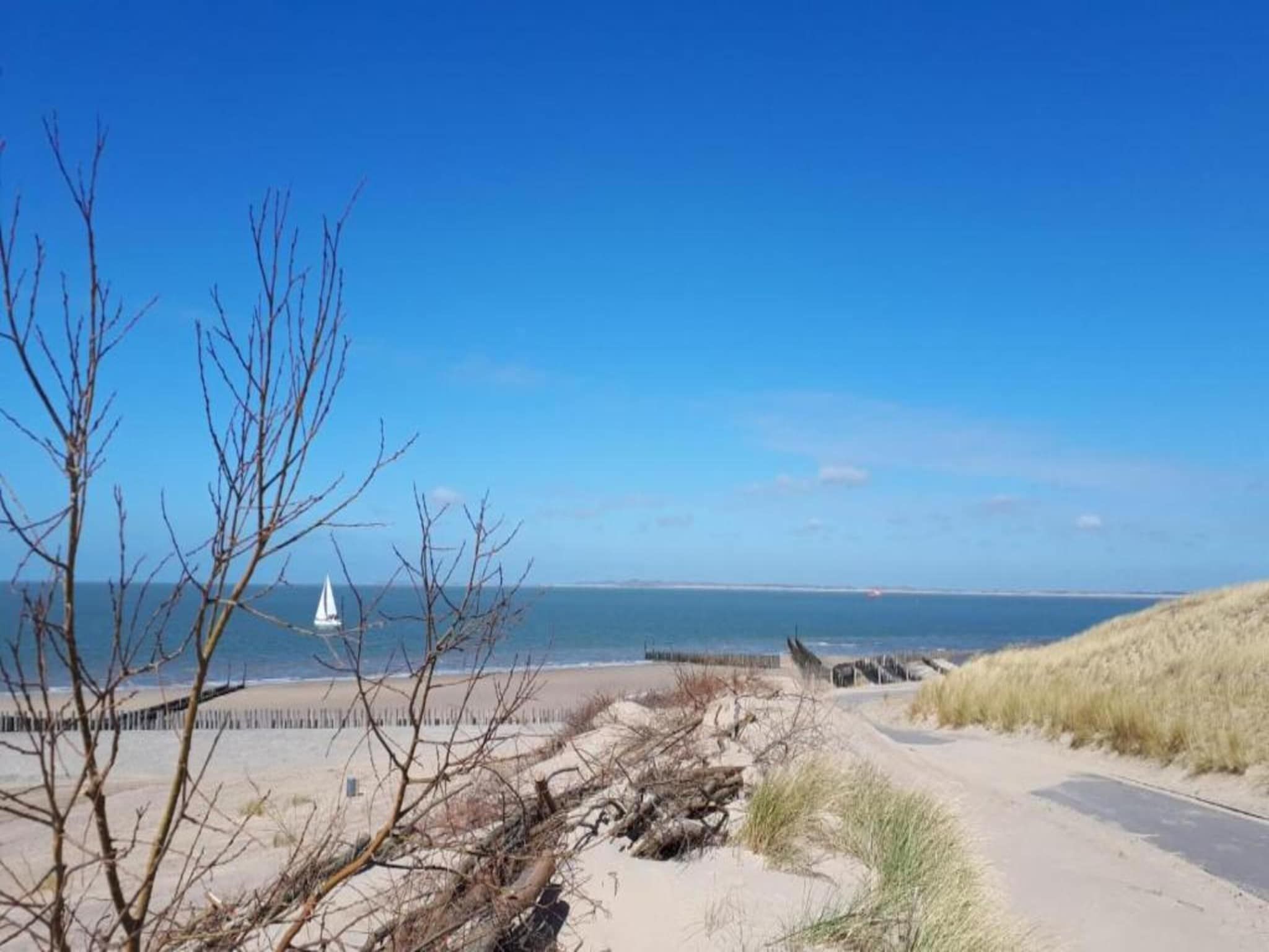 De omgeving van Vakantiepark Zeebad 9 in Breskens