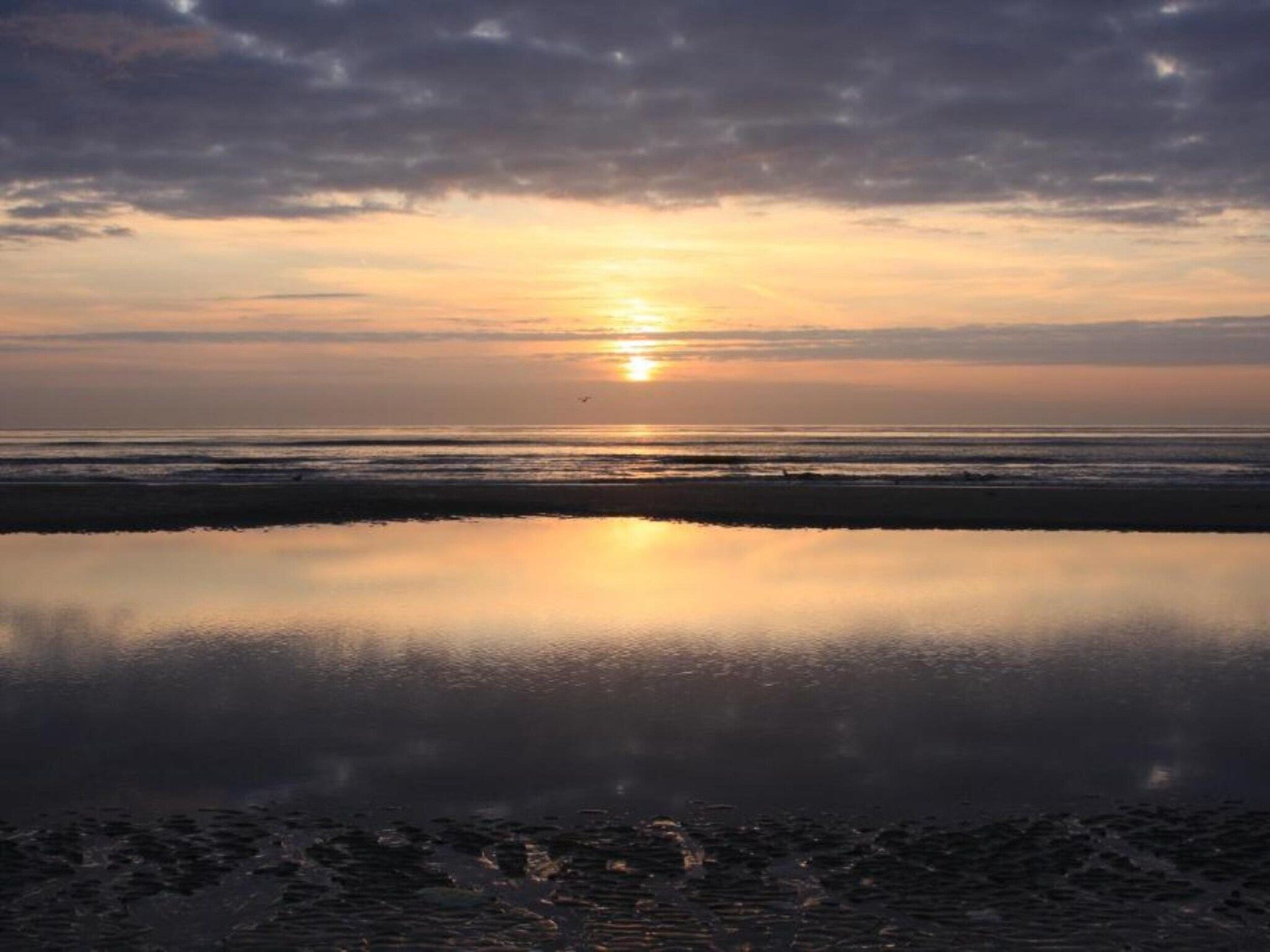 Bosch en Zee 3 in De Koog Texel - Foto 34 van 39