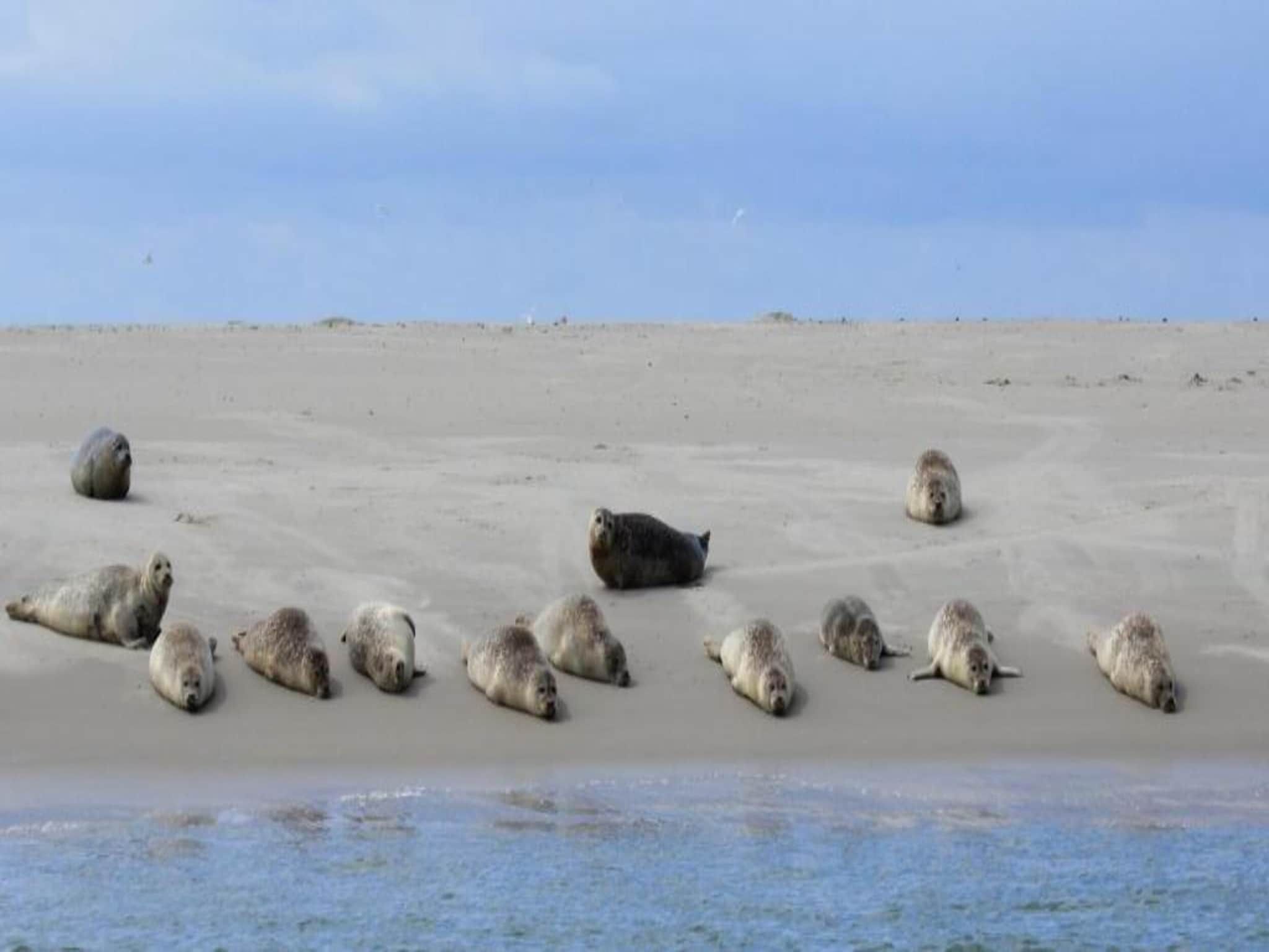 Bosch en Zee 1 in De Koog Texel - Foto 33 van 40
