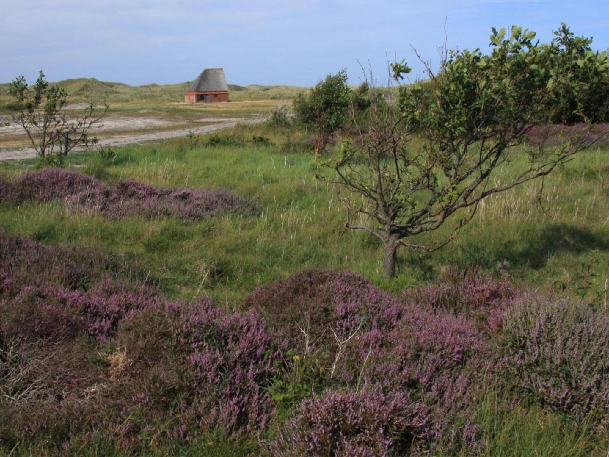 Bosch en Zee 1 in De Koog Texel - Foto 35 van 40