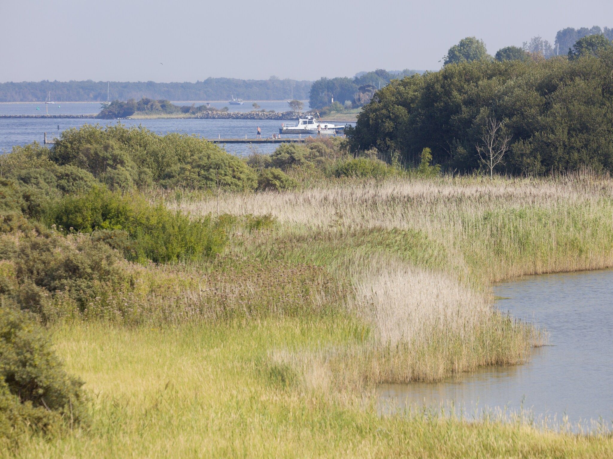 De omgeving van Harbour Village 1 in Arnemuiden