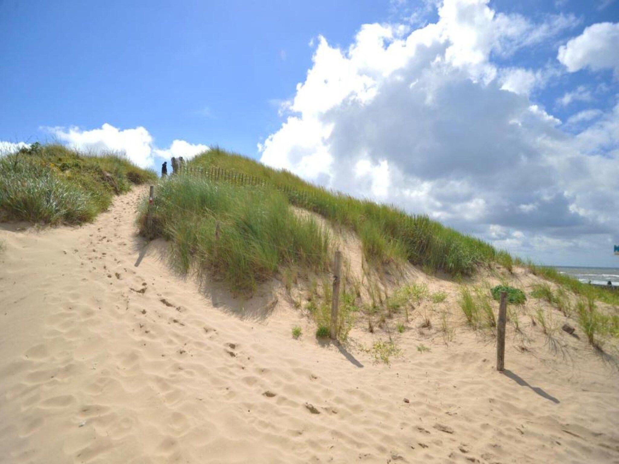 HuizeDuin in Egmond aan Zee - Foto 33 van 40