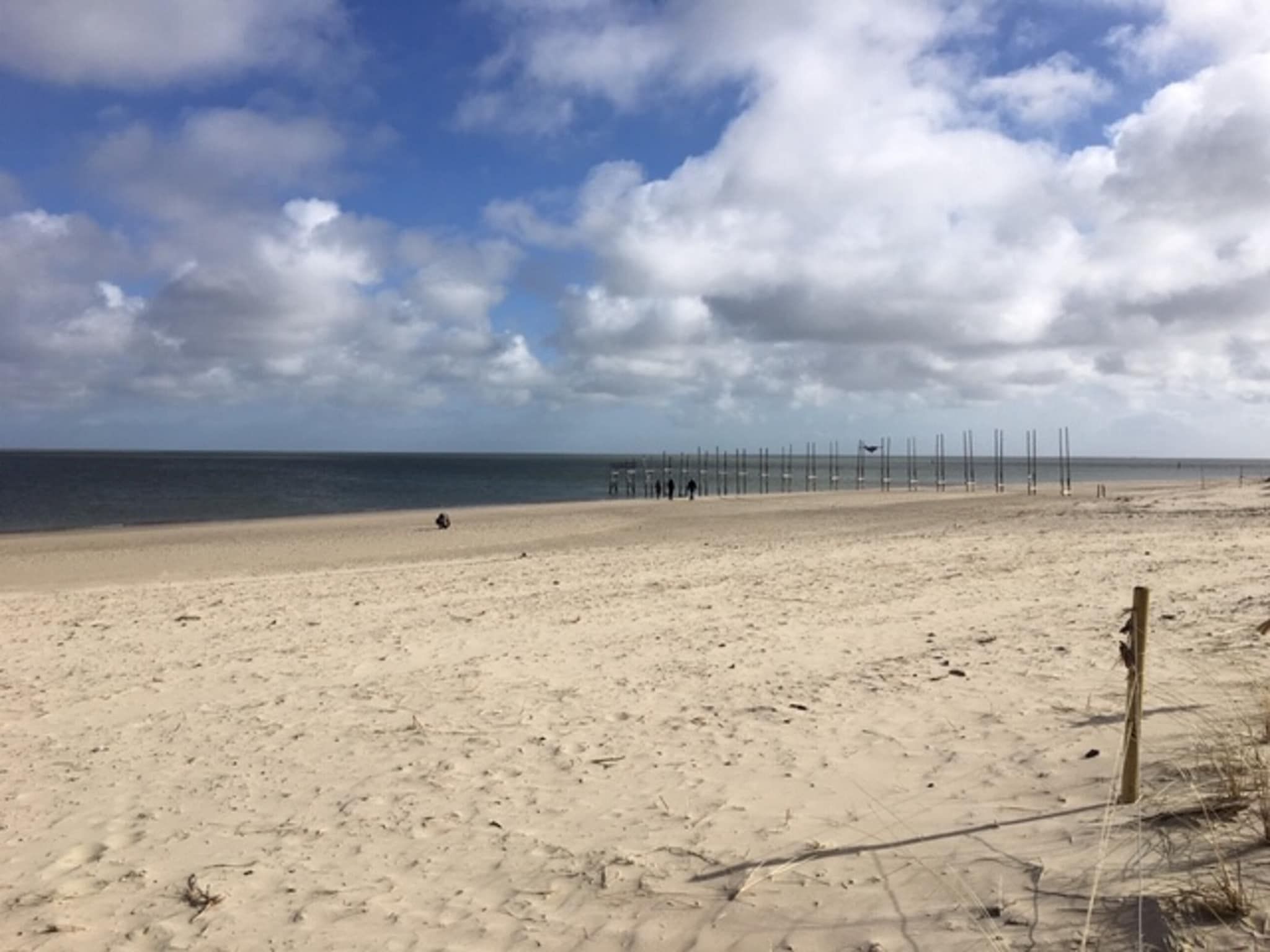 Stoeterij C65 in De Cocksdorp Texel - Foto 8 van 22