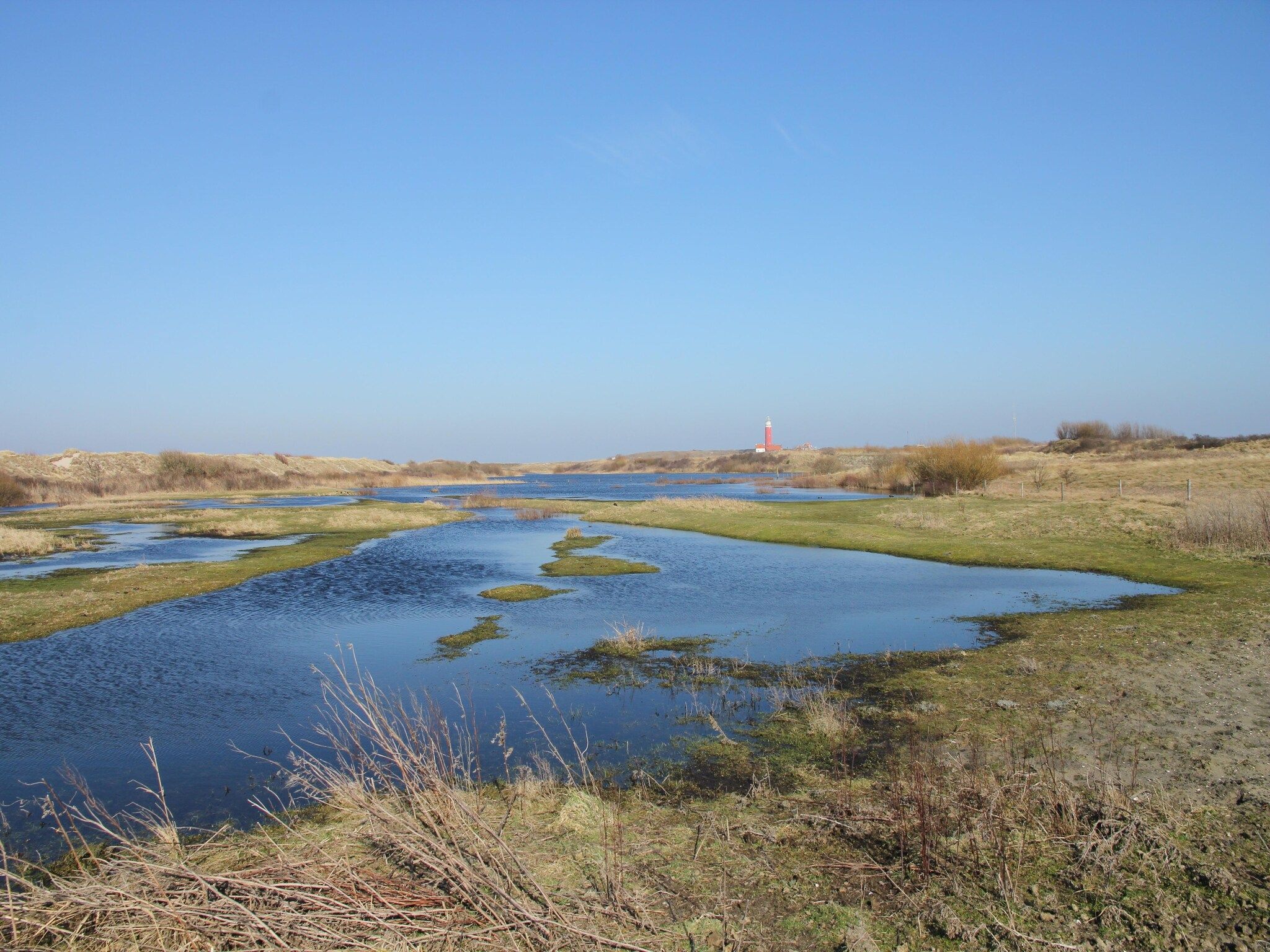 Het uitzicht vanaf Stoeterij C65 in De Cocksdorp Texel