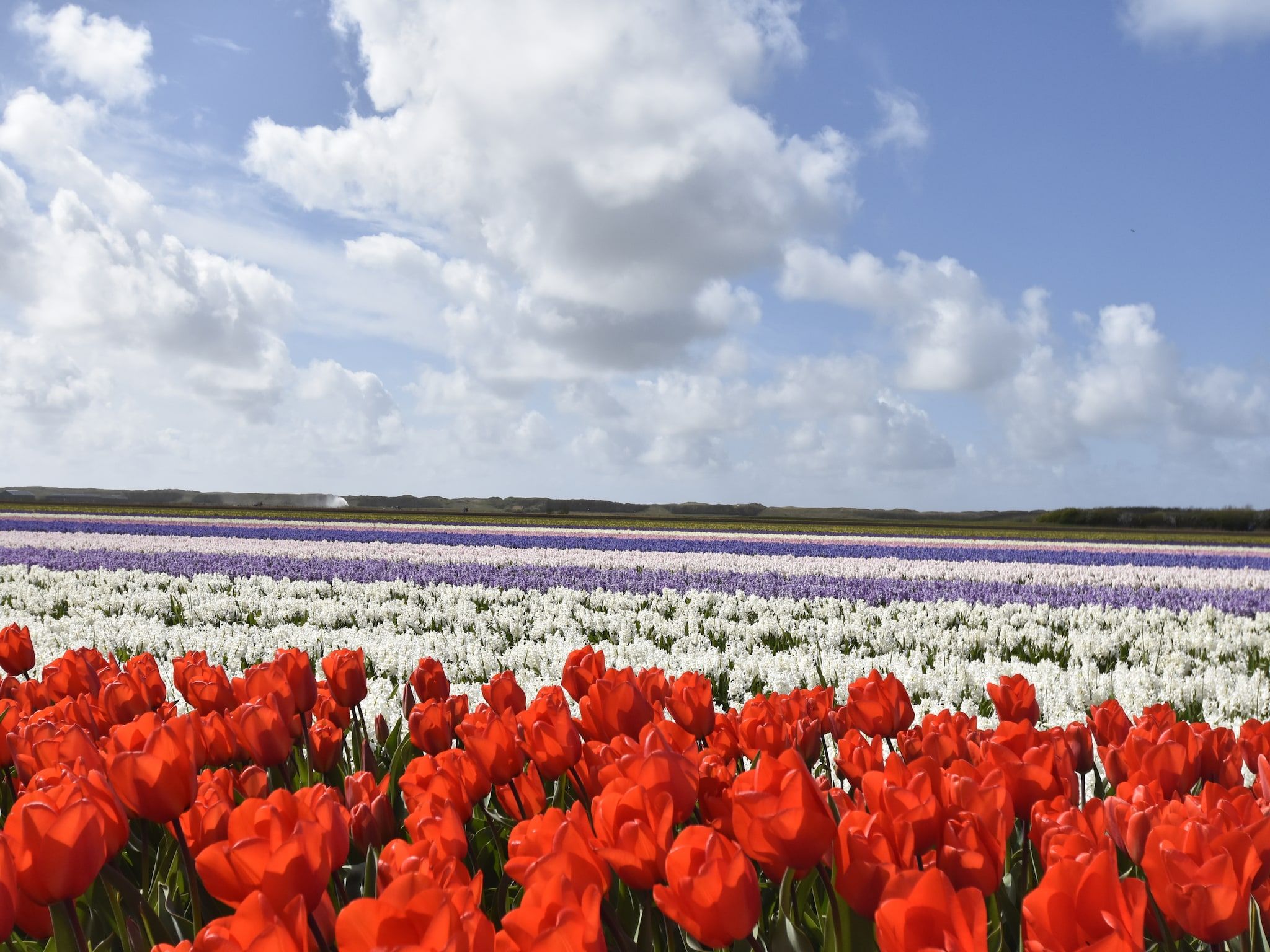 De omgeving van Landelijk bij Zee in Warmenhuizen