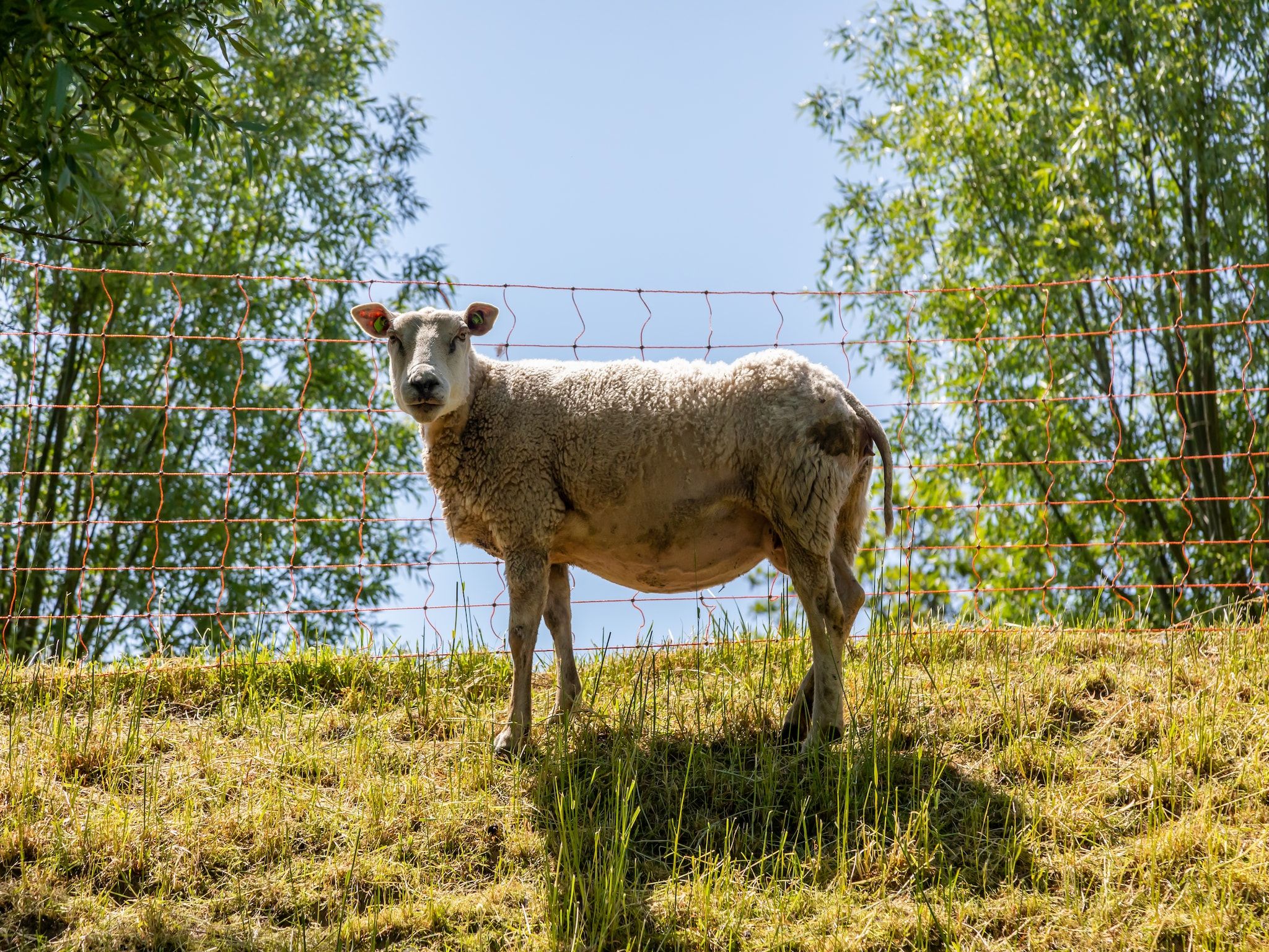 Sfeerbeeld van Inlaag 20 in Wolphaartsdijk