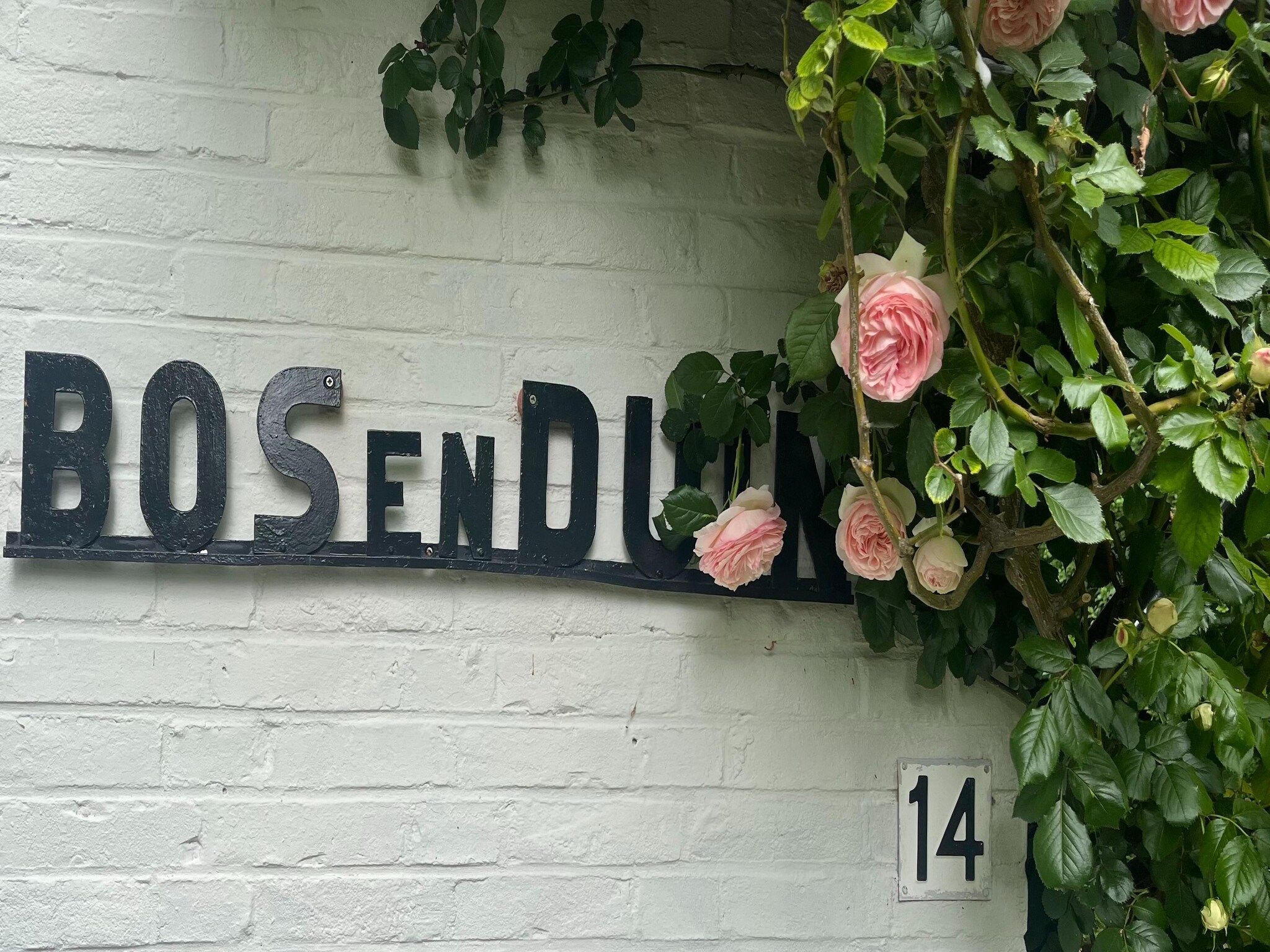 Sfeerbeeld van Vebenabos 14-Bos en Duin in Koudekerke-Dishoek