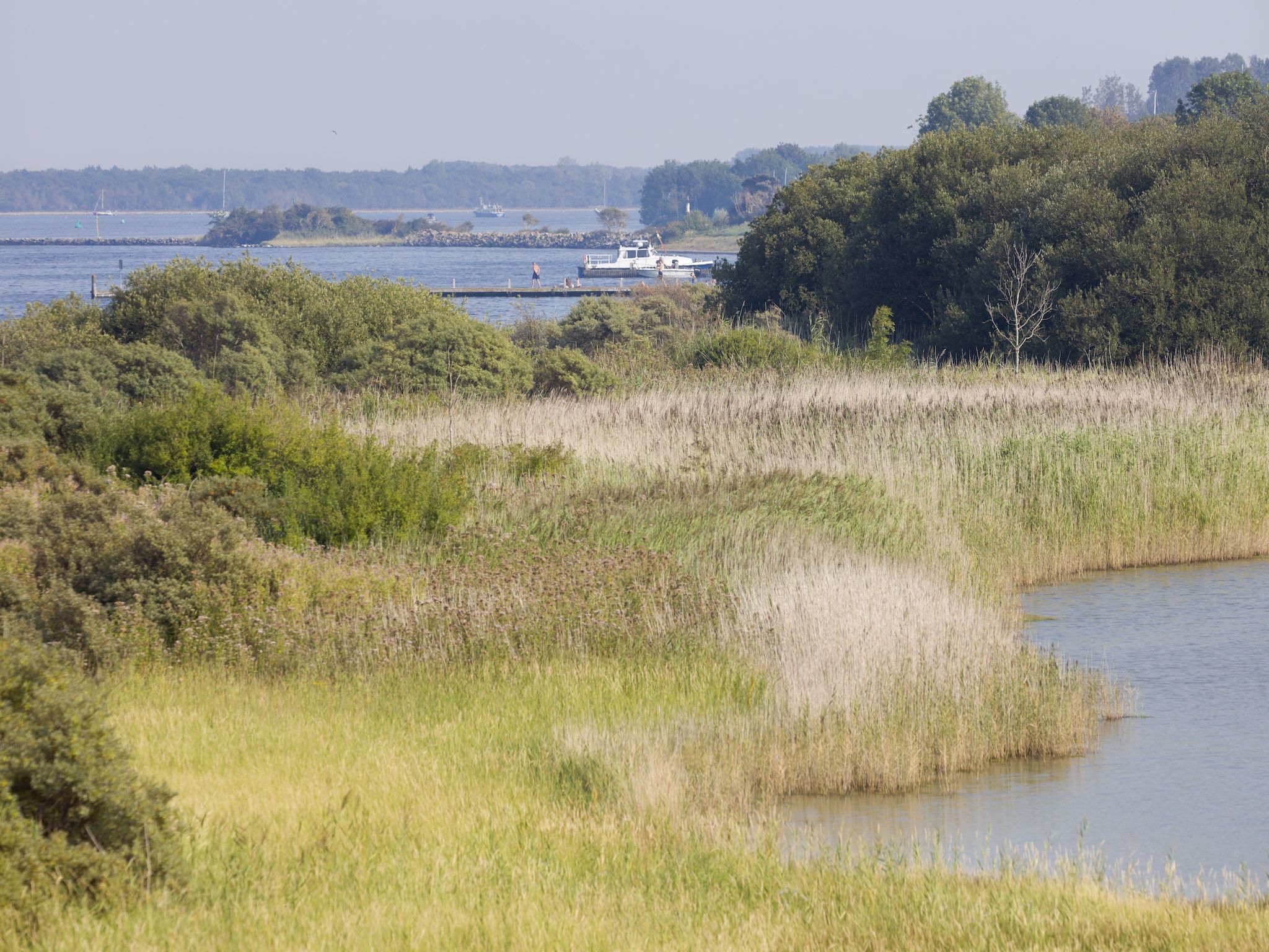 De omgeving van Harbour Village 2 in Arnemuiden