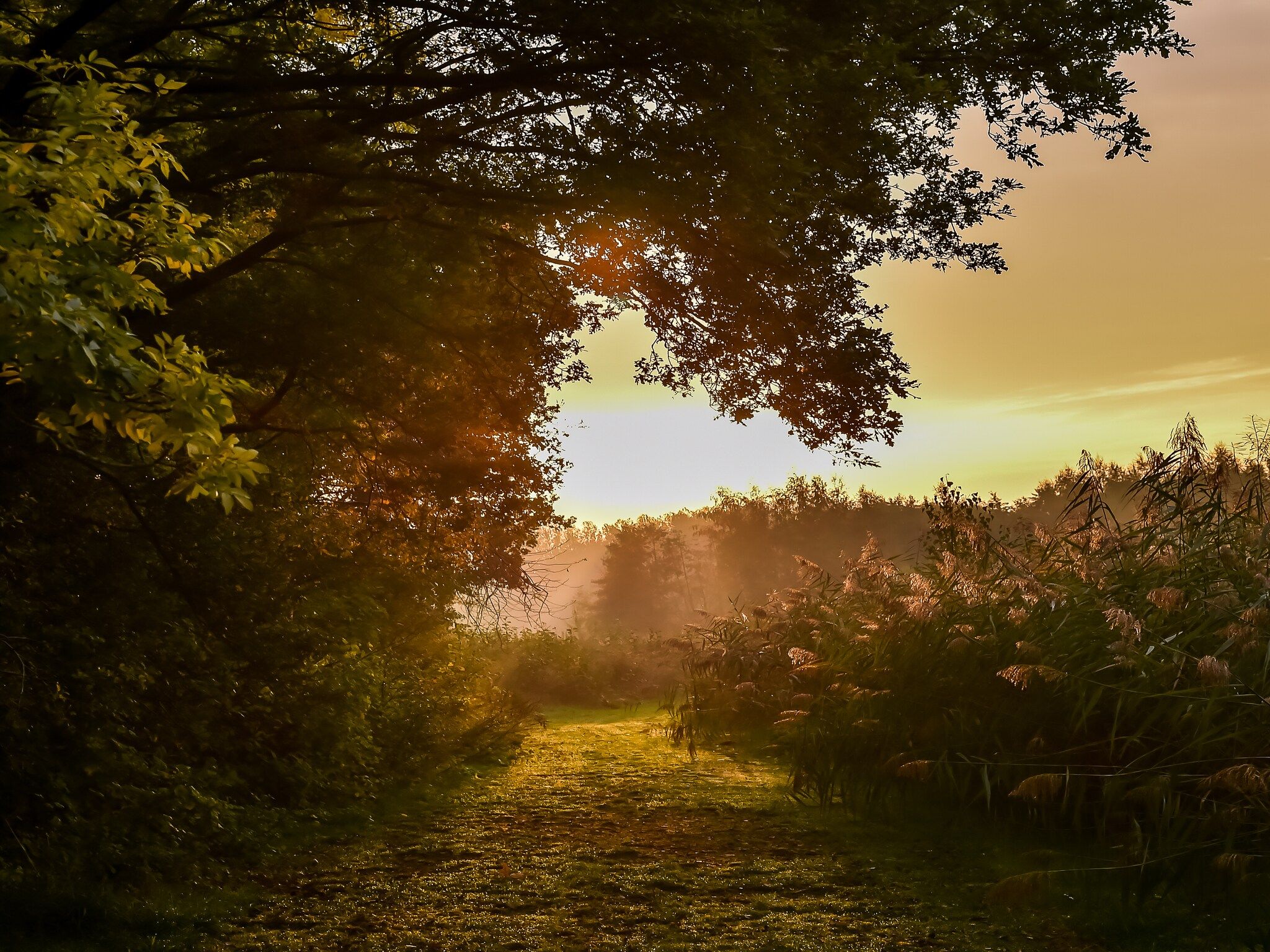 De omgeving van Vakantiepark Mölke 19 in Zuna