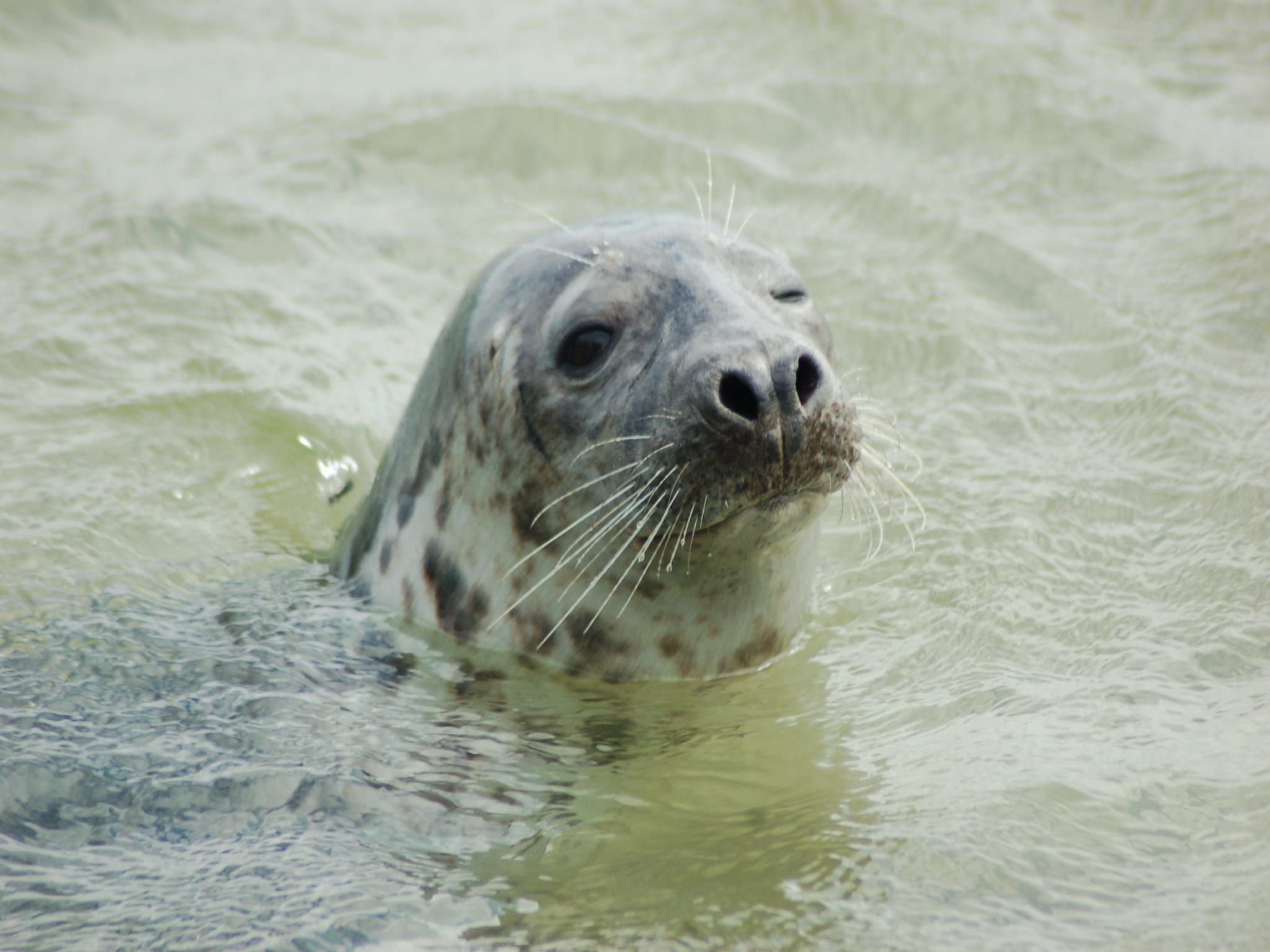 Sfeerbeeld van Kustpark Texel 11 in De Koog