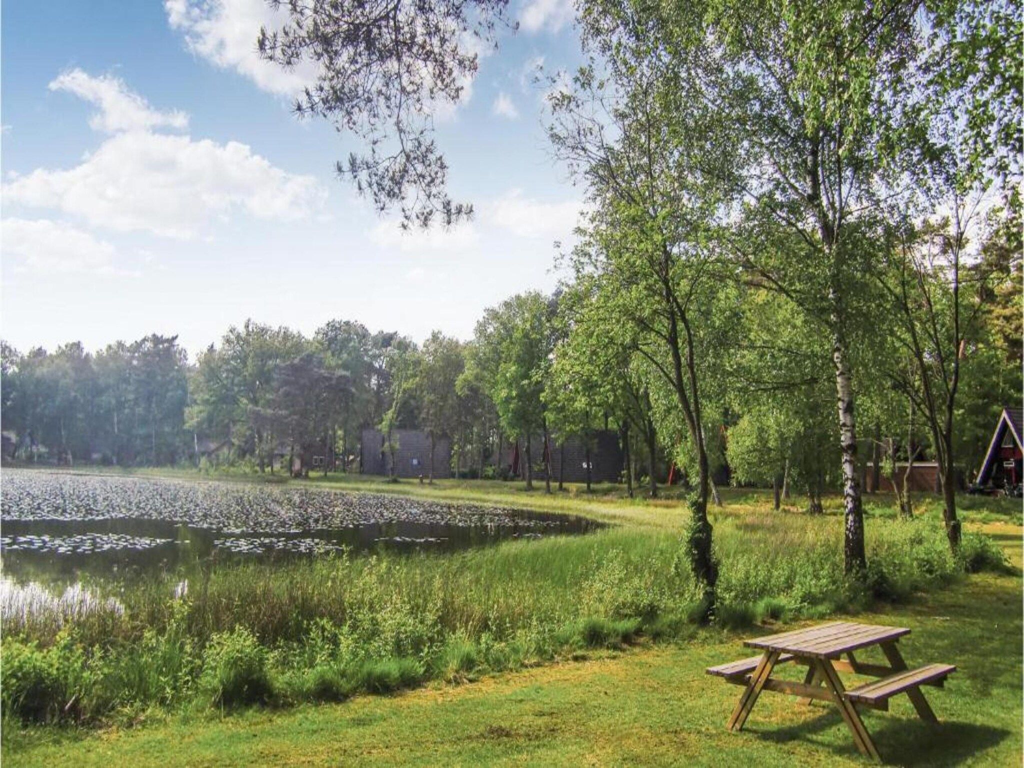 Vakantiepark Weerterbergen 8 in Weert - Foto 30 van 40
