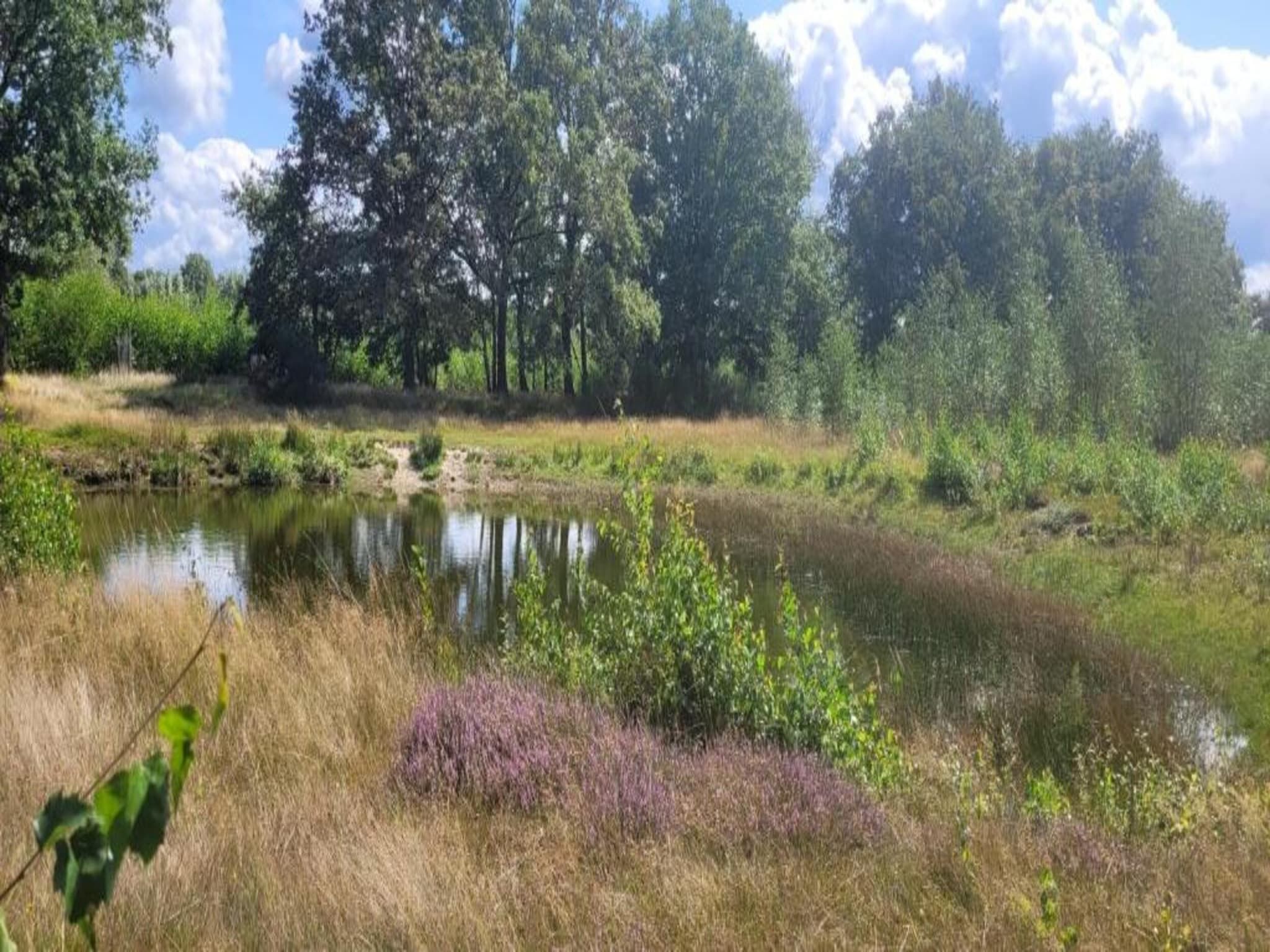 Vakantiepark Sandberghe 9 in Uden - Foto 26 van 40