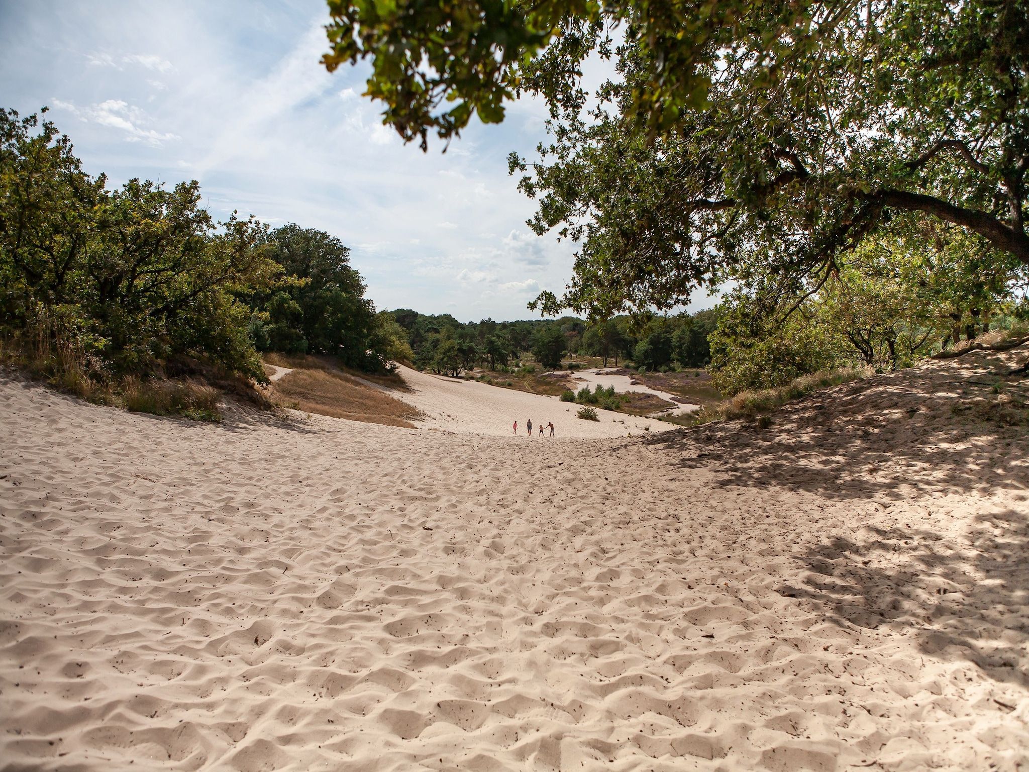 De omgeving van Vakantiepark Sandberghe 11 in Uden