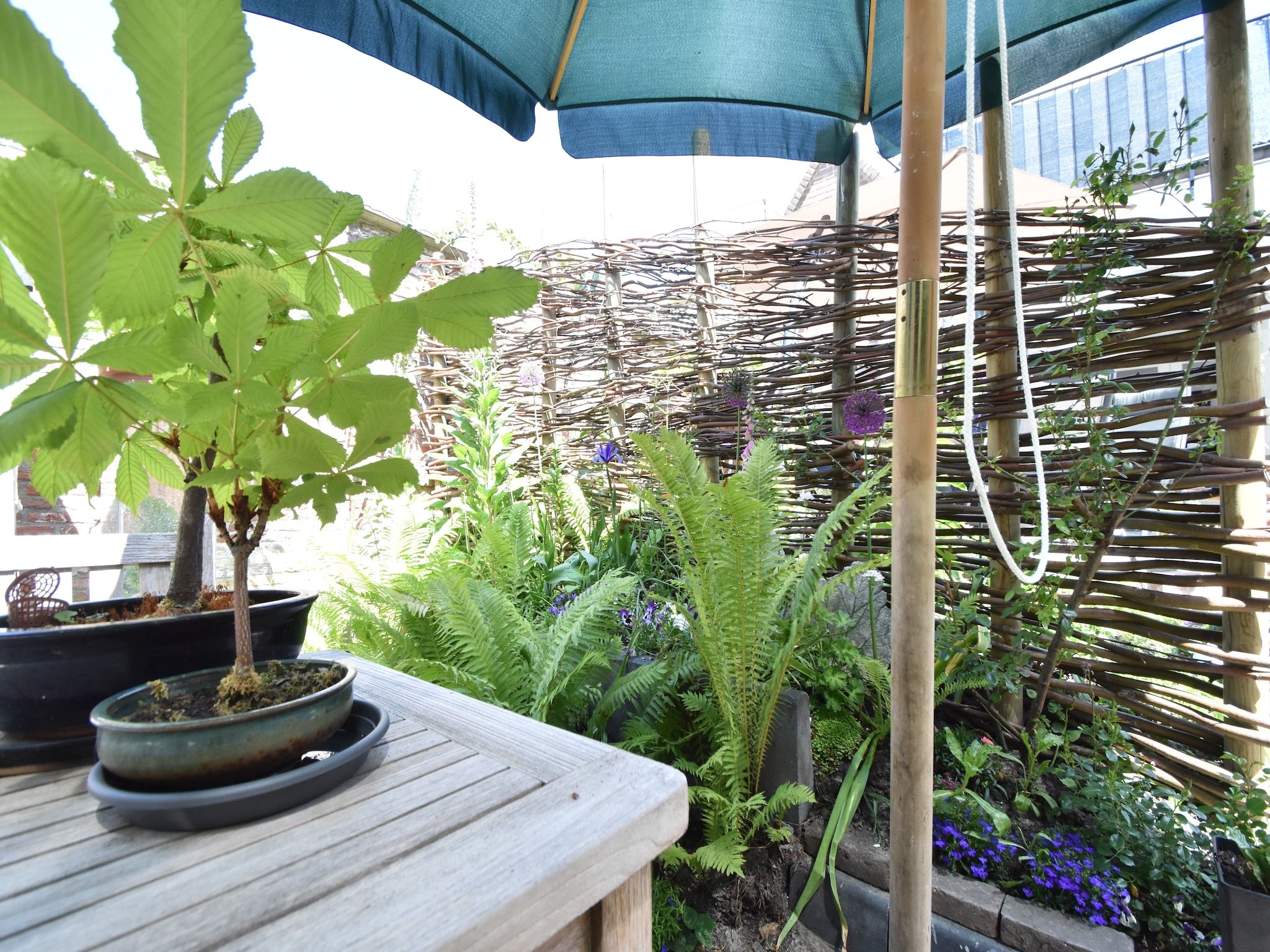 De tuin van Aan het Boerenverdriet in Edam