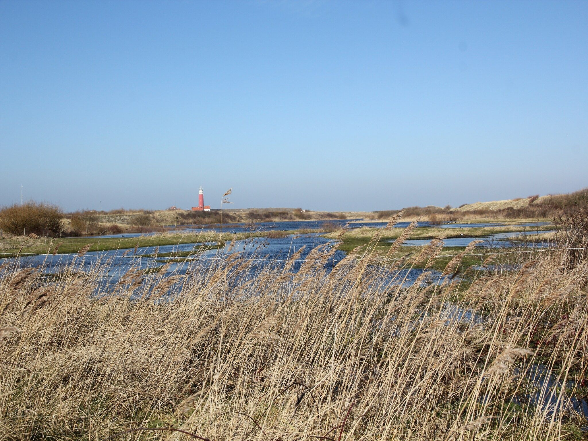 De omgeving van De Koog  nr 4 - 6 pers woning de luxe in De Koog Texel