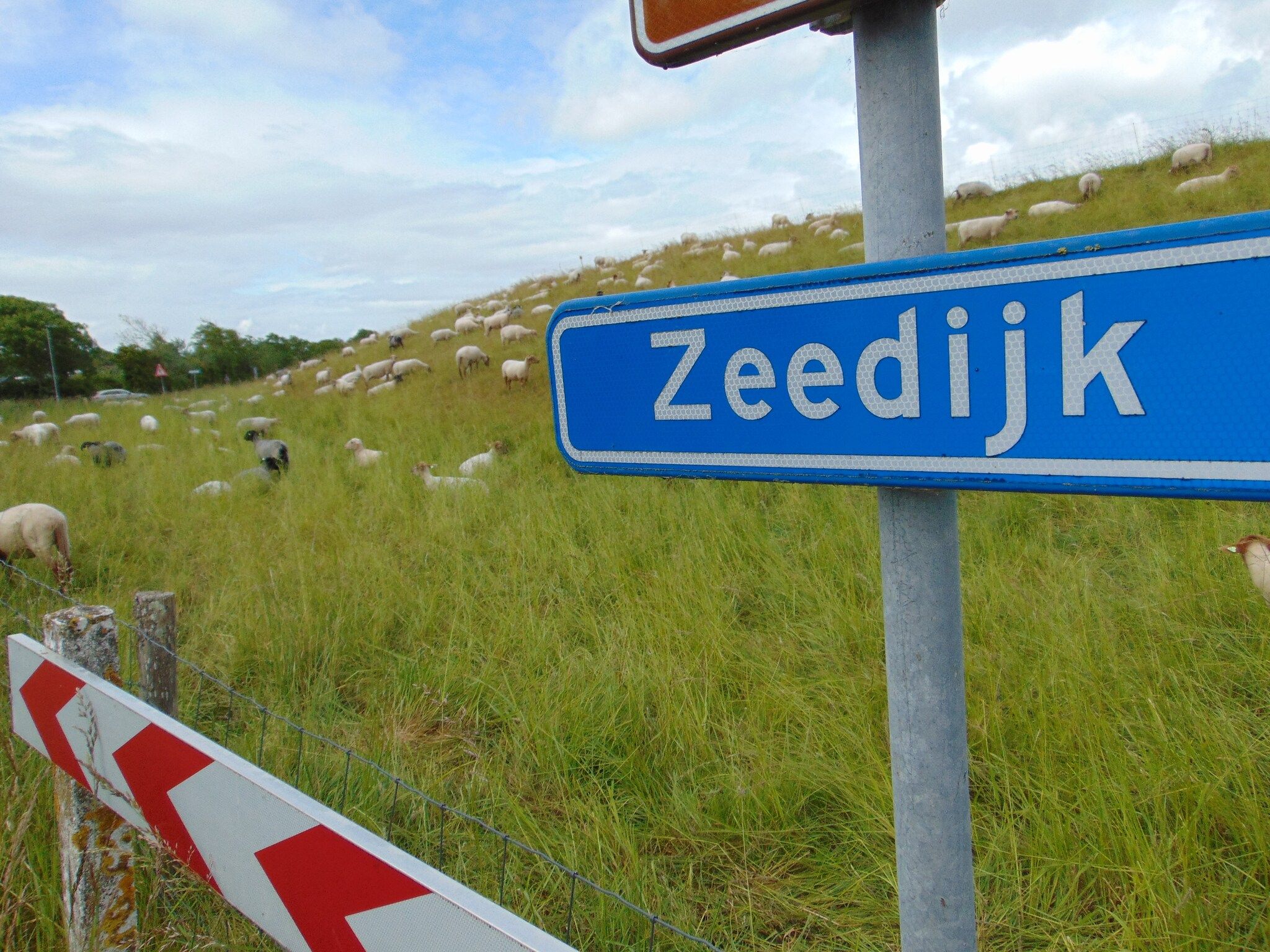 't Verzetje in Nieuwvliet - Foto 32 van 40