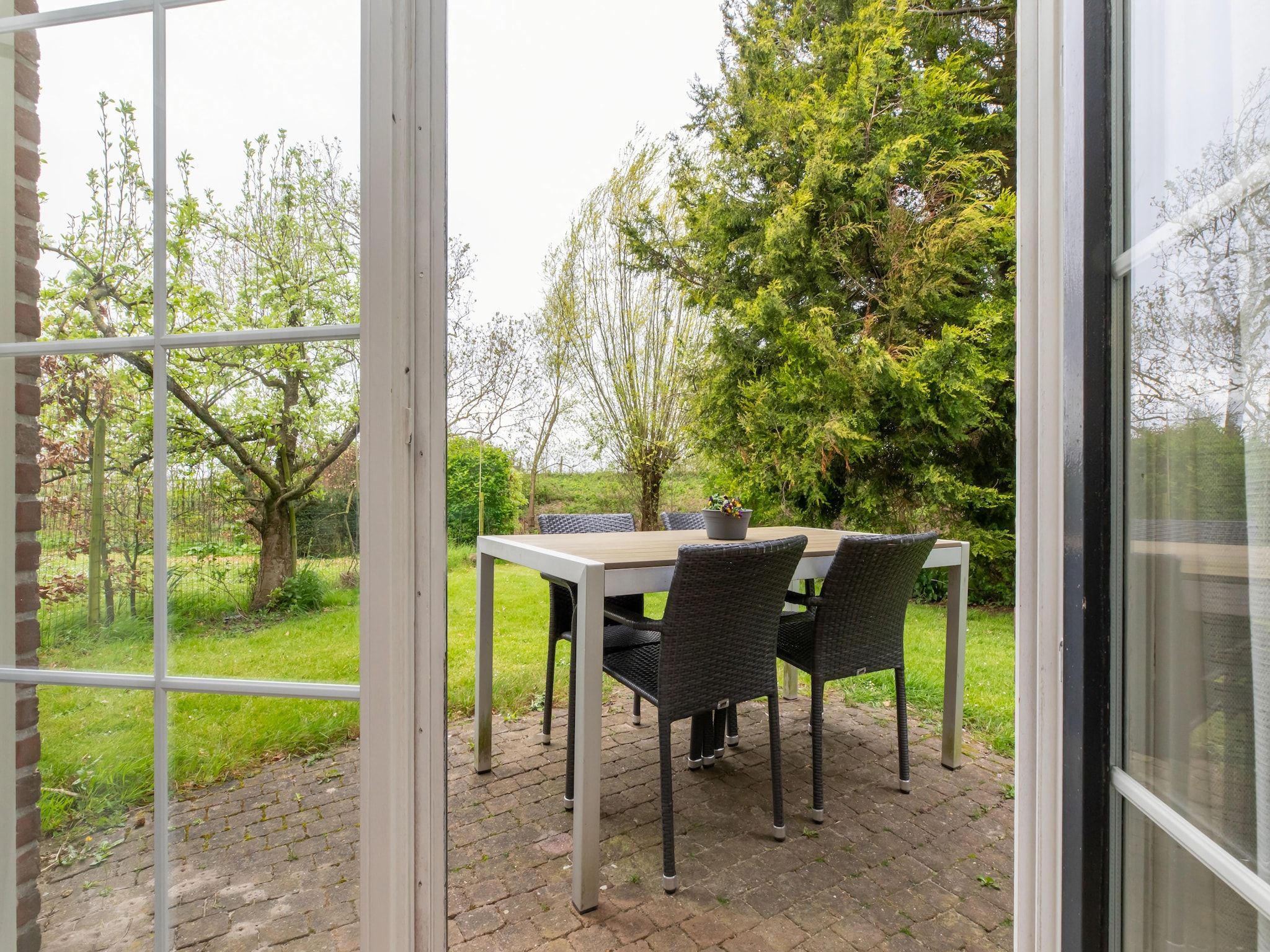 Het terras van Vroondijk 2- Zeepeertje in Vrouwenpolder