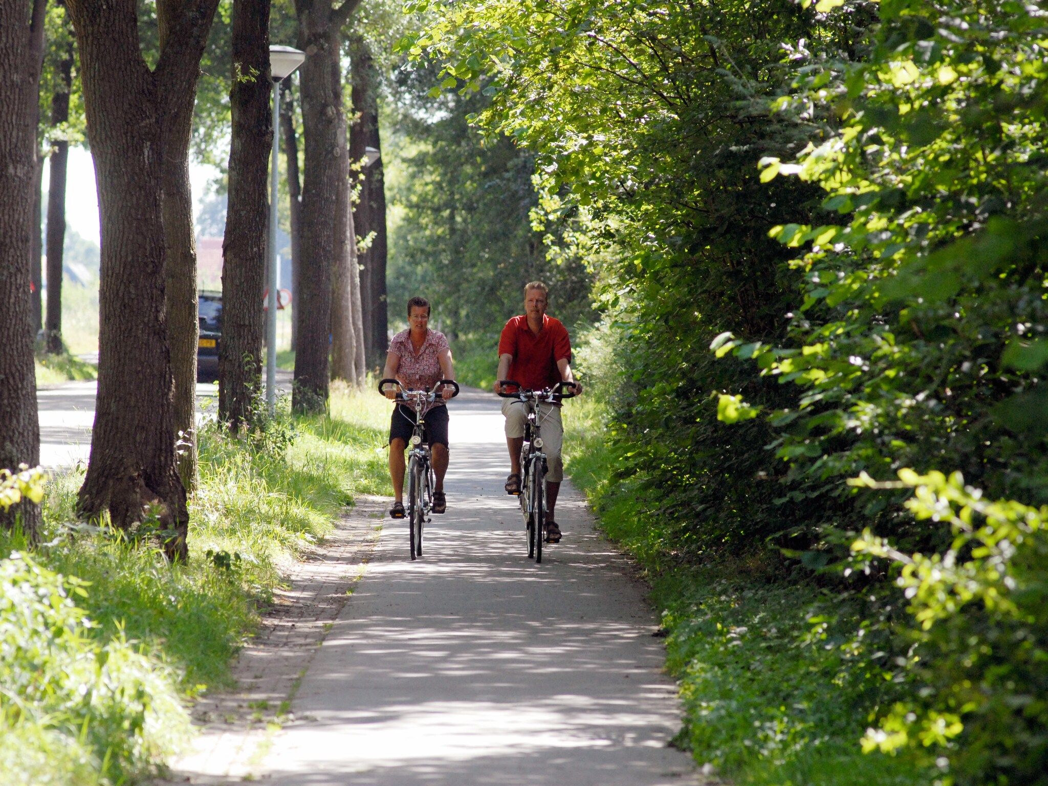 De omgeving van Het Drentse Wold 4 in Hoogersmilde