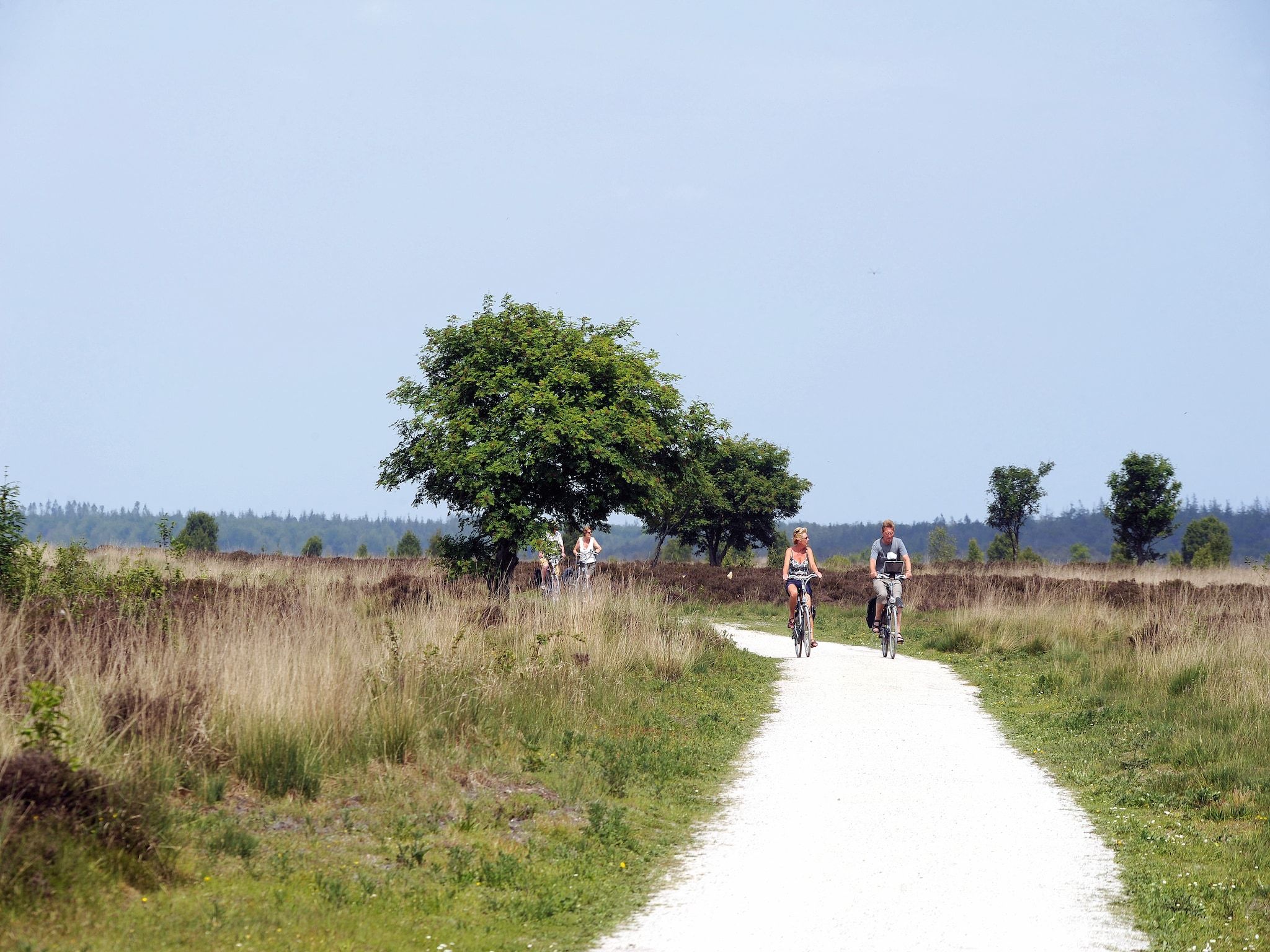 De omgeving van Het Drentse Wold 4 in Hoogersmilde