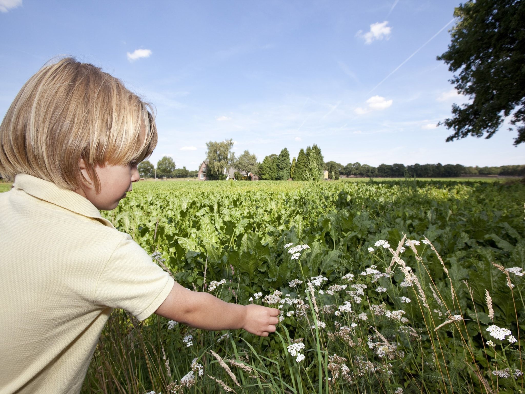 De omgeving van Vakantiepark Hunzedal 13 in Borger