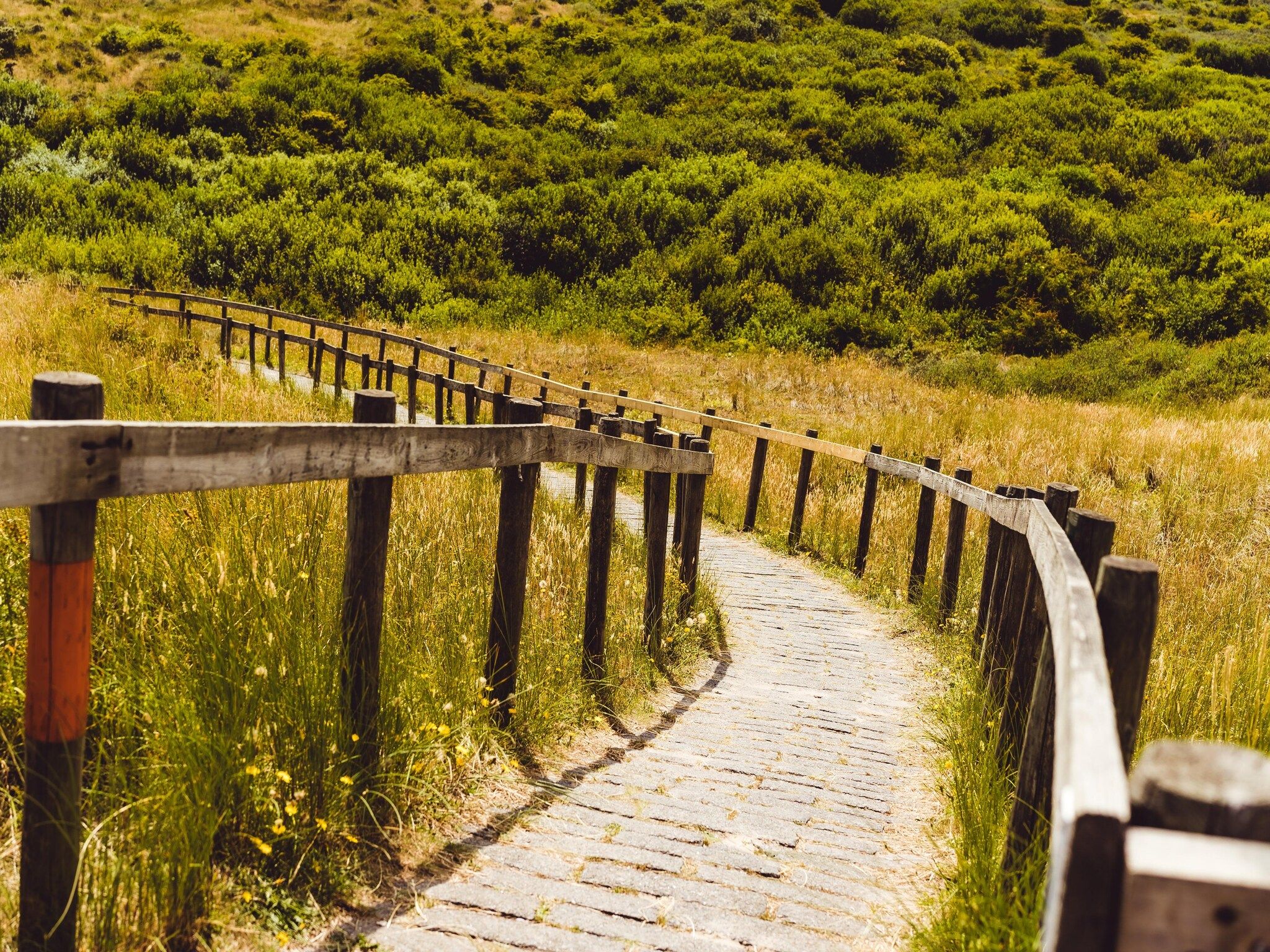 De omgeving van Vakantiepark Boomhiemke 15 in Hollum