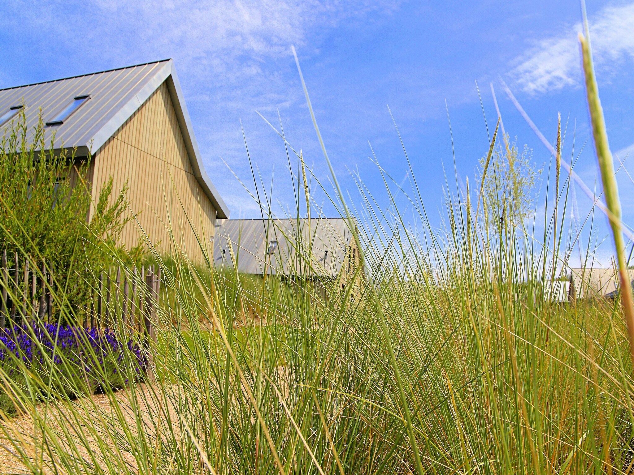 De omgeving van Resort Waterrijk Oesterdam 7 in Tholen