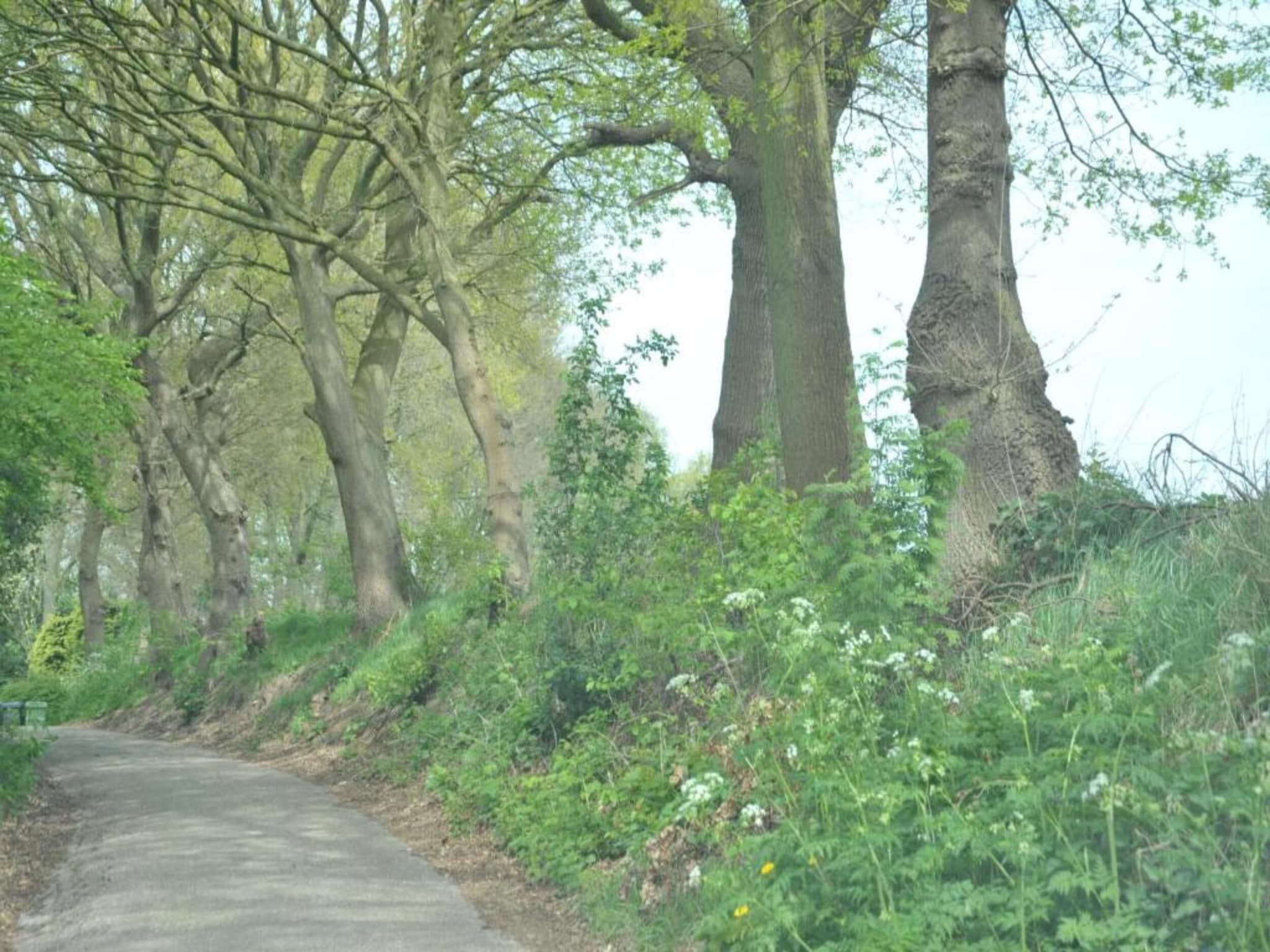 Resort Waterrijk Oesterdam 15 in Tholen - Foto 35 van 40