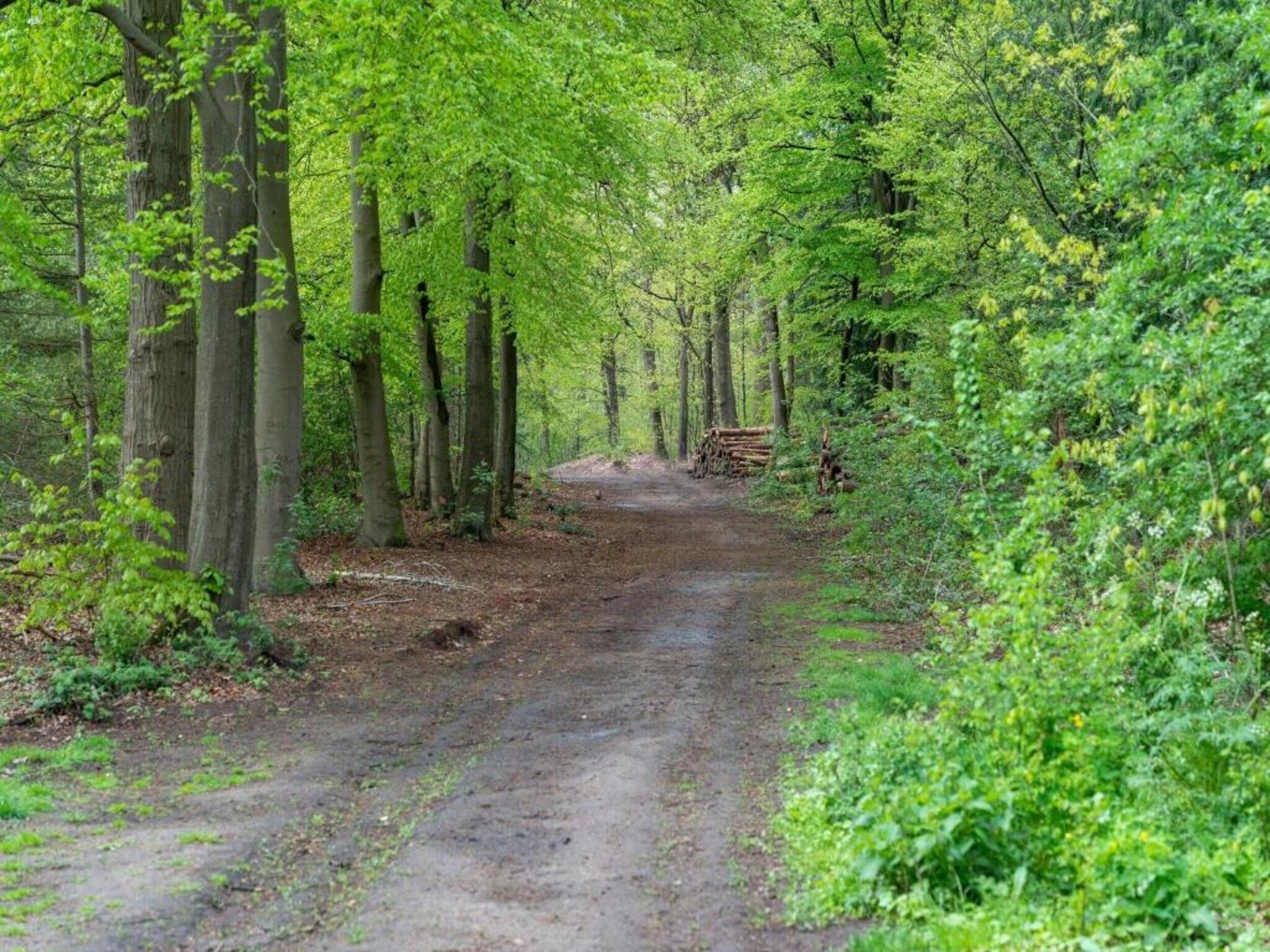 Landgoed De IJsvogel 10 in Voorthuizen - Foto 30 van 35