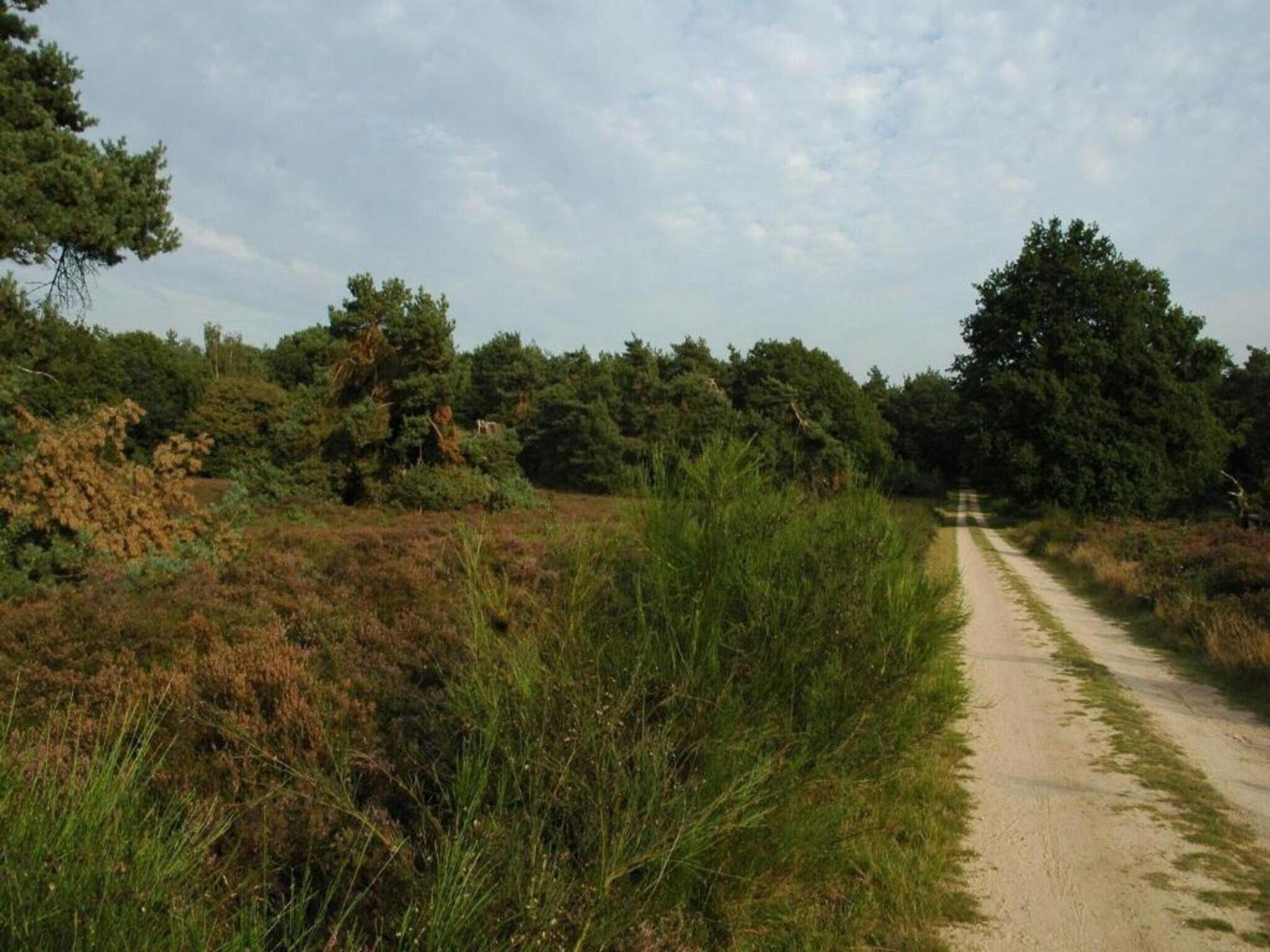 Landgoed De IJsvogel 10 in Voorthuizen - Foto 29 van 35
