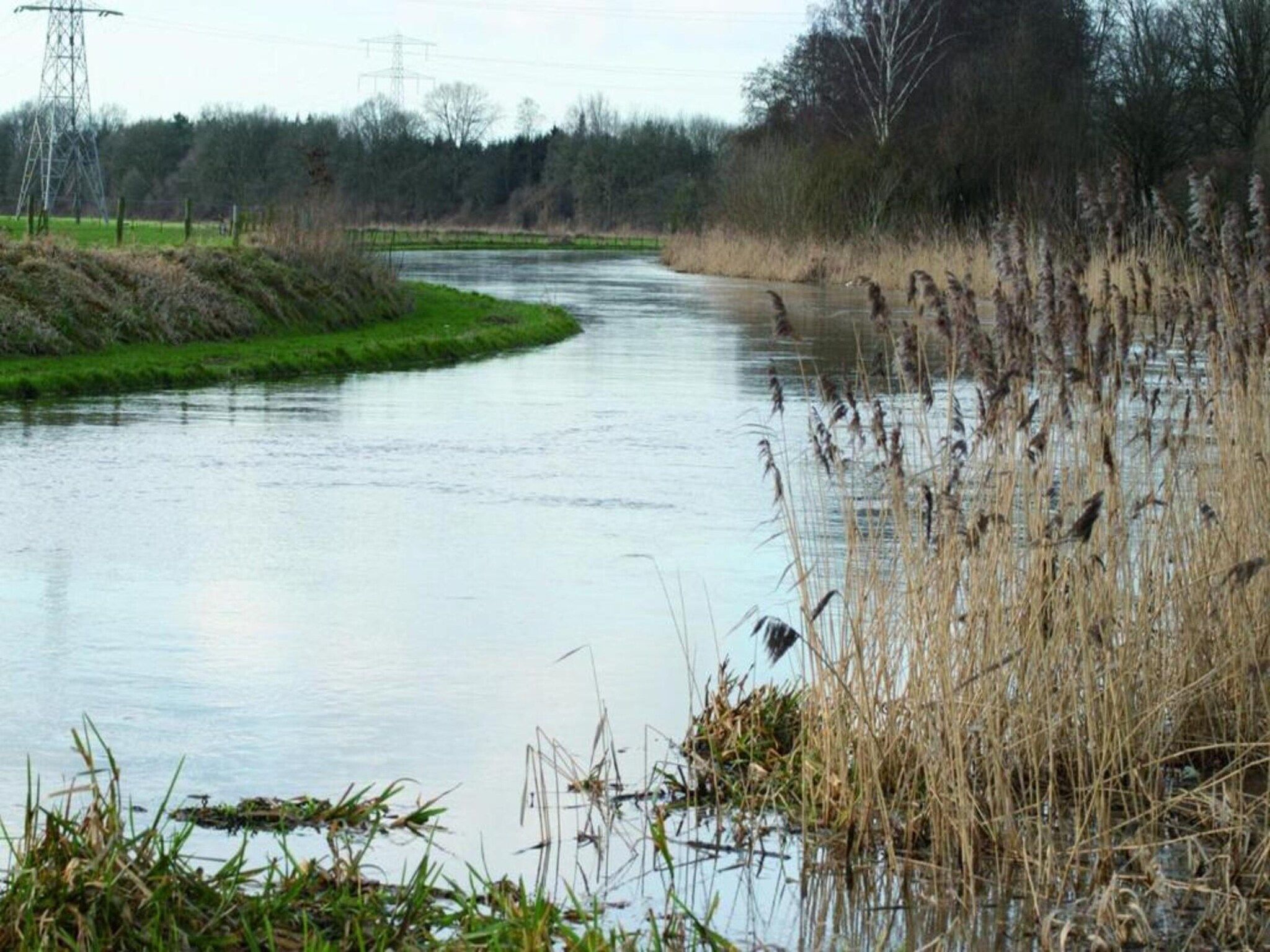 Vakantiepark De Lochemse Berg 1 in Lochem - Foto 38 van 40