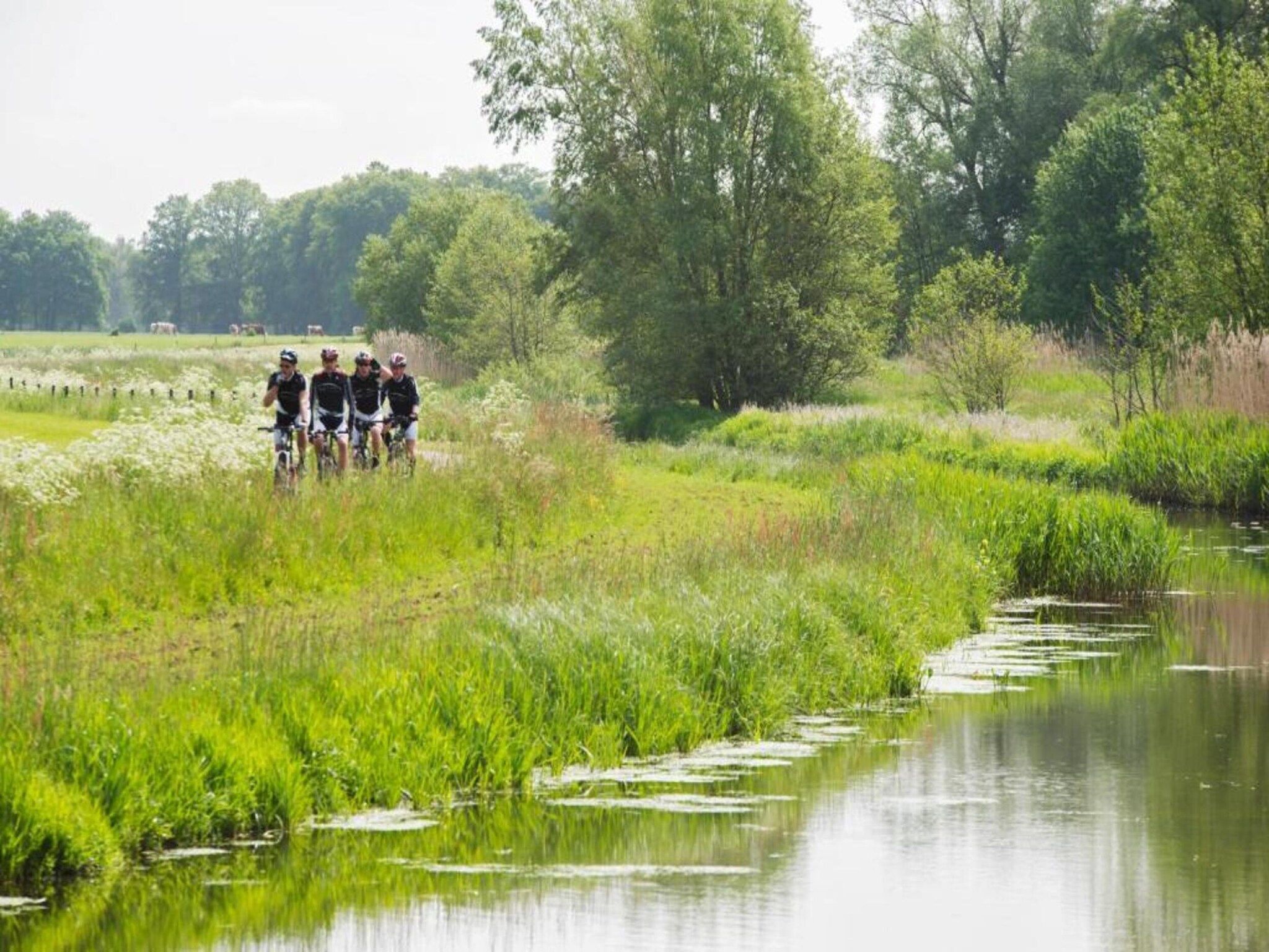 Vakantiepark De Lochemse Berg 2 in Lochem - Foto 19 van 40
