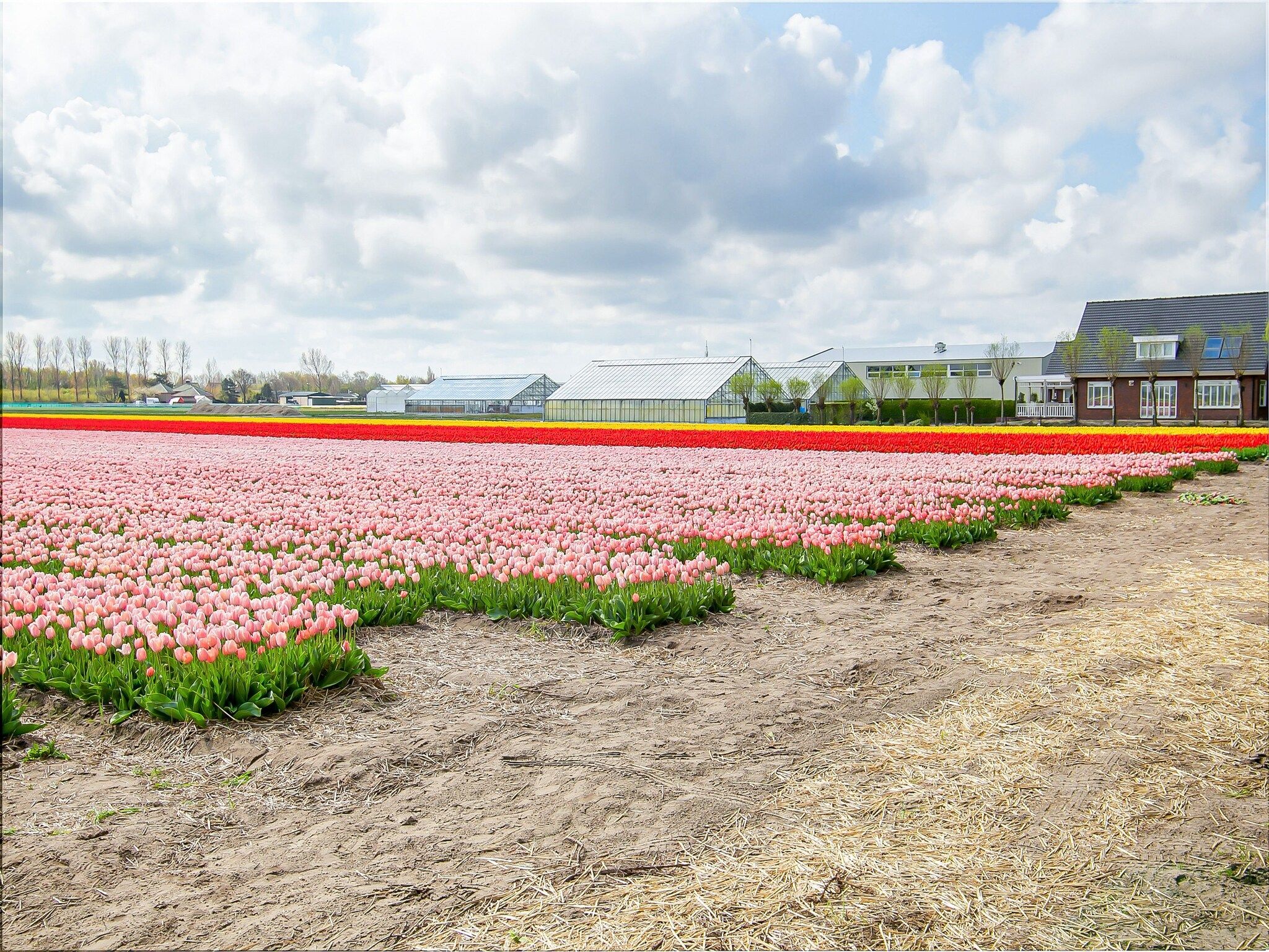 De omgeving van Royal Palm in Noordwijkerhout