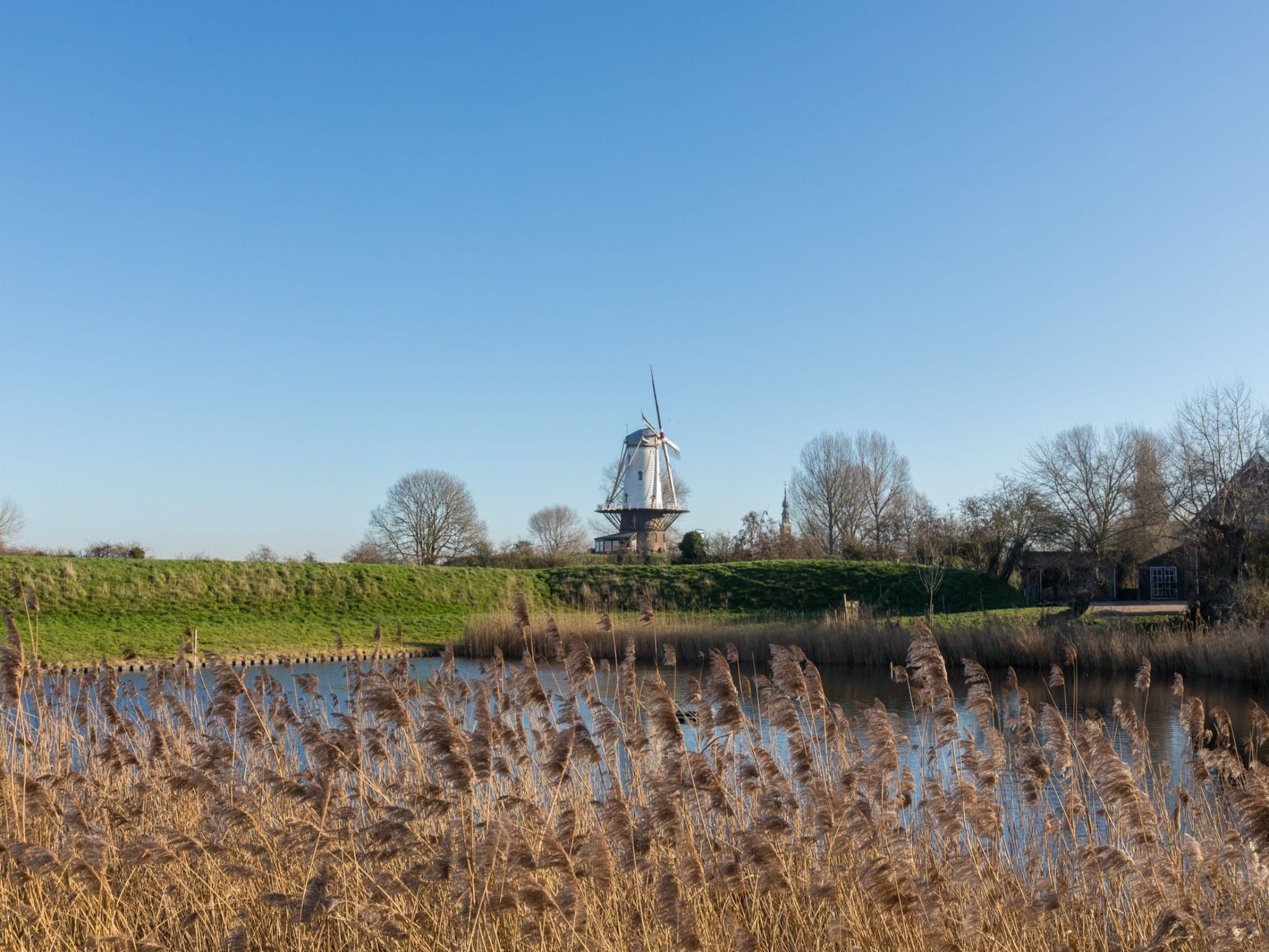 Het uitzicht vanaf Kievitenlaan 22 in Veere