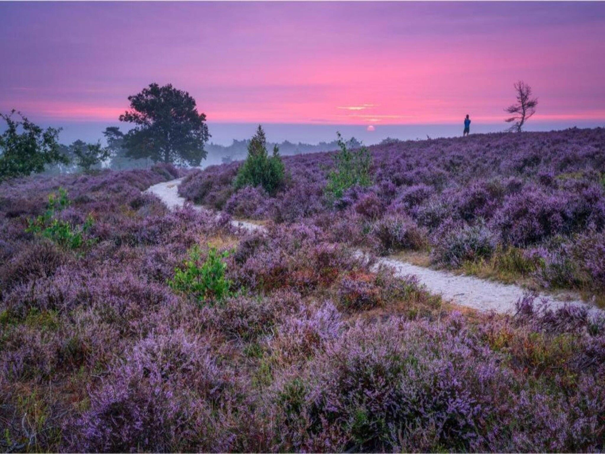 De omgeving van Buitenplaats Holten 8 in Rijssen