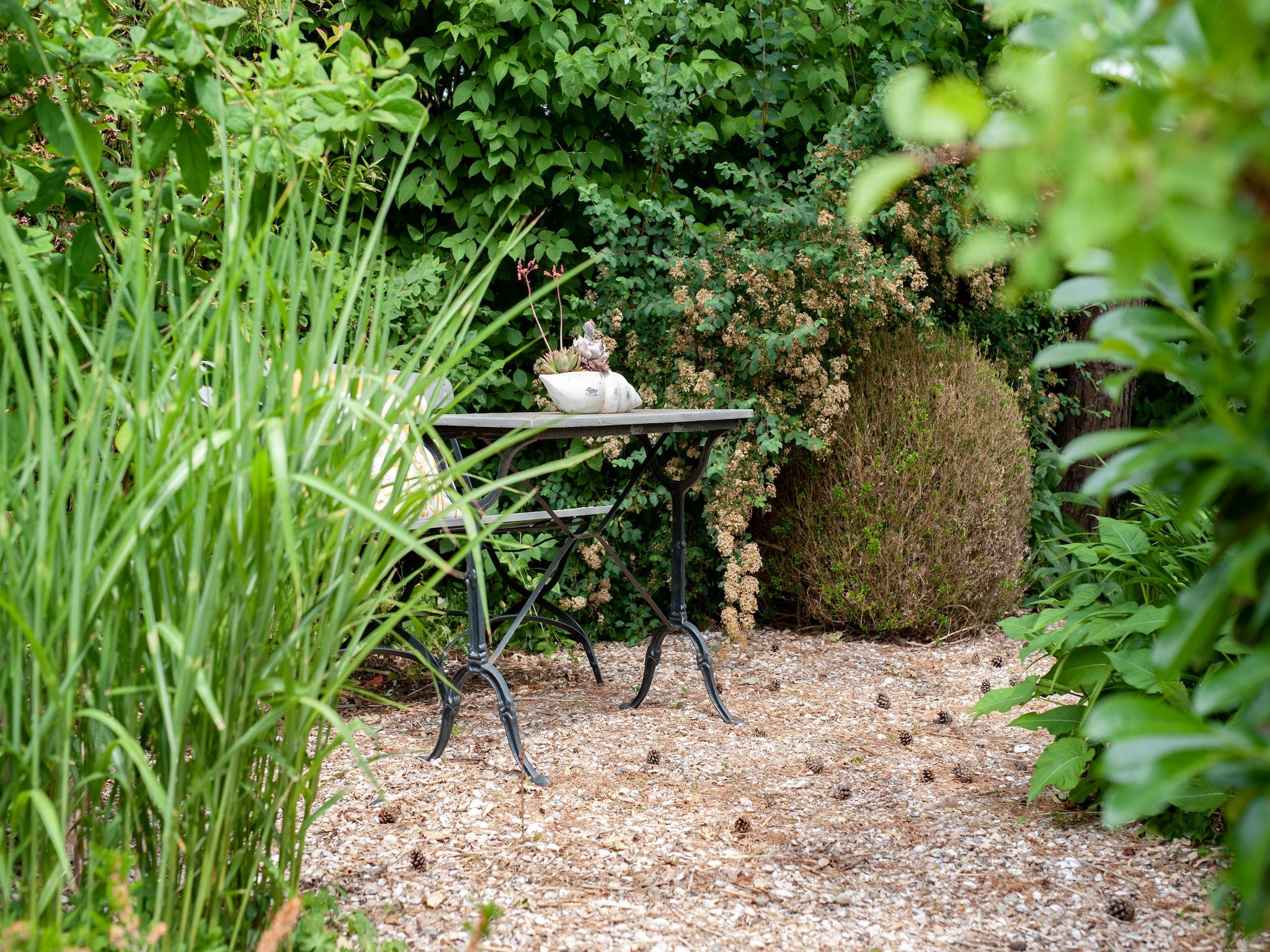 De tuin van Dennenlaan 17 in Kamperland