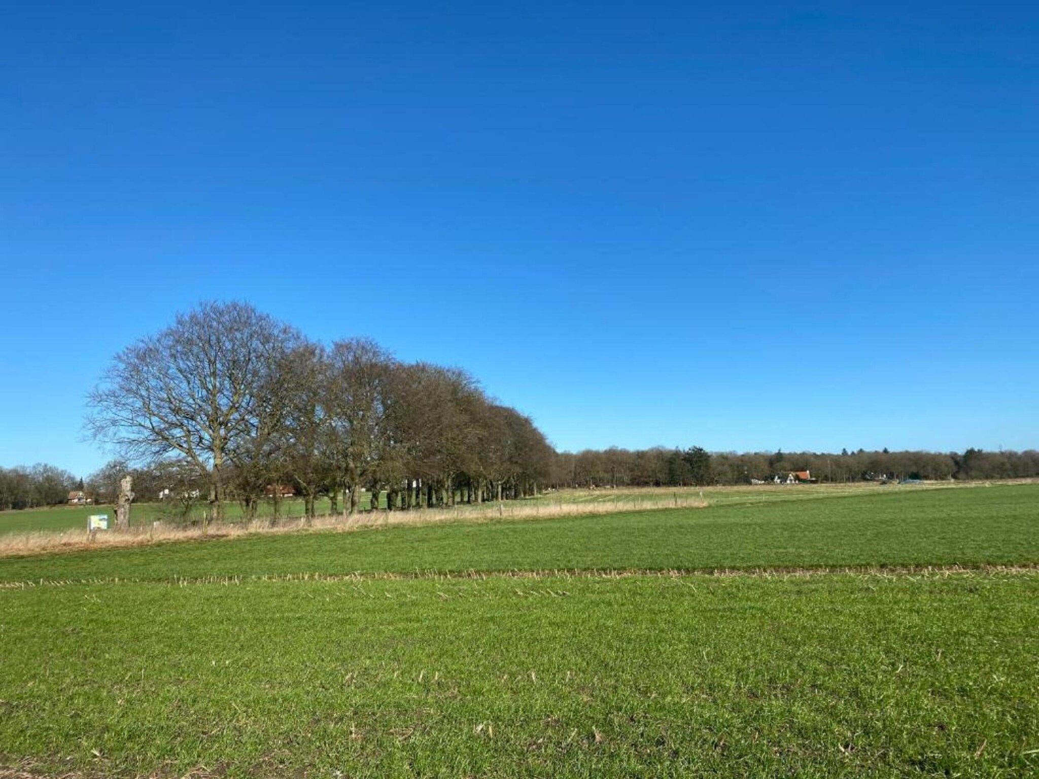 De omgeving van Buitenplaats Holten 10 in Rijssen