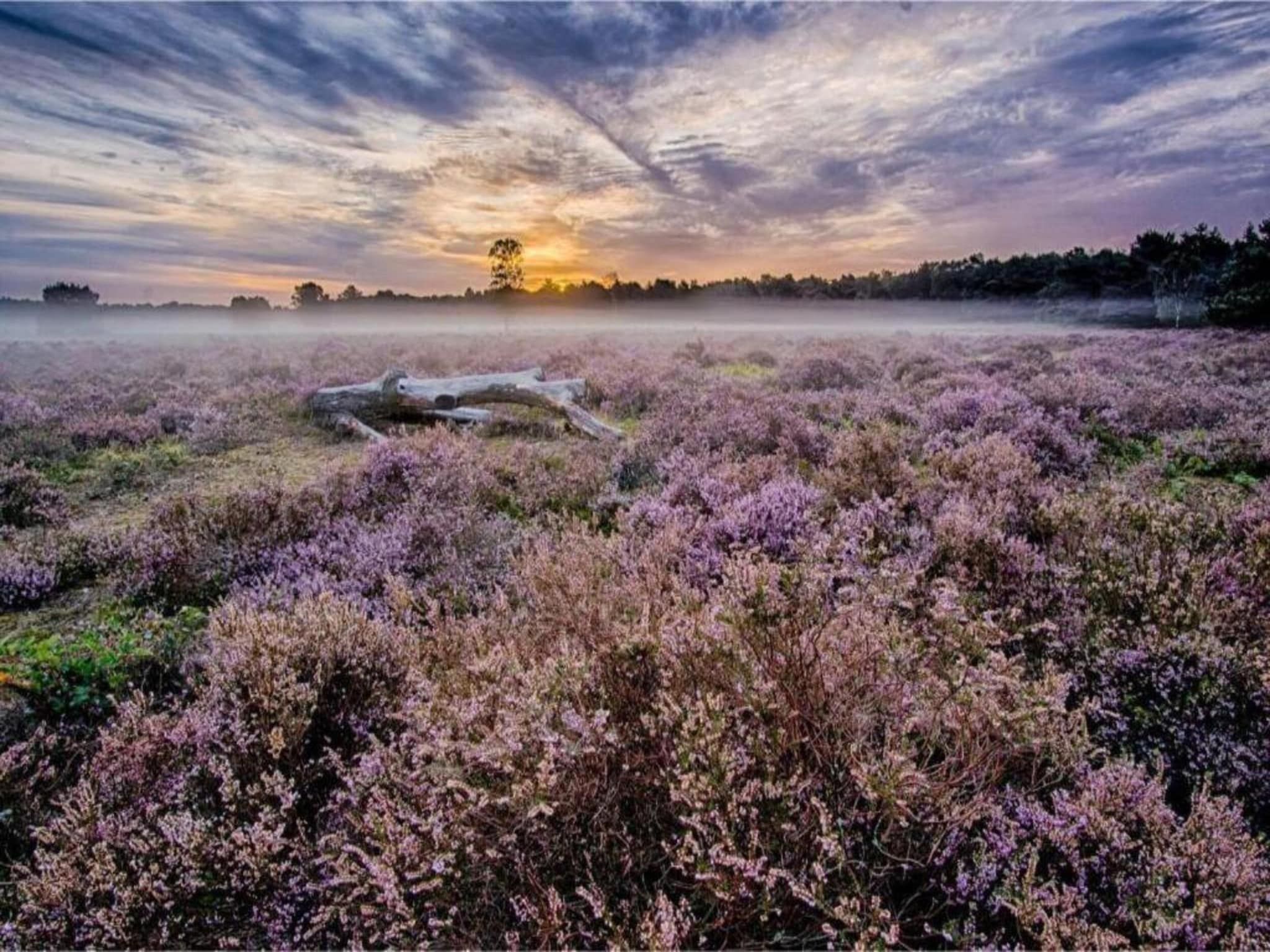 De omgeving van Buitenplaats Holten 10 in Rijssen