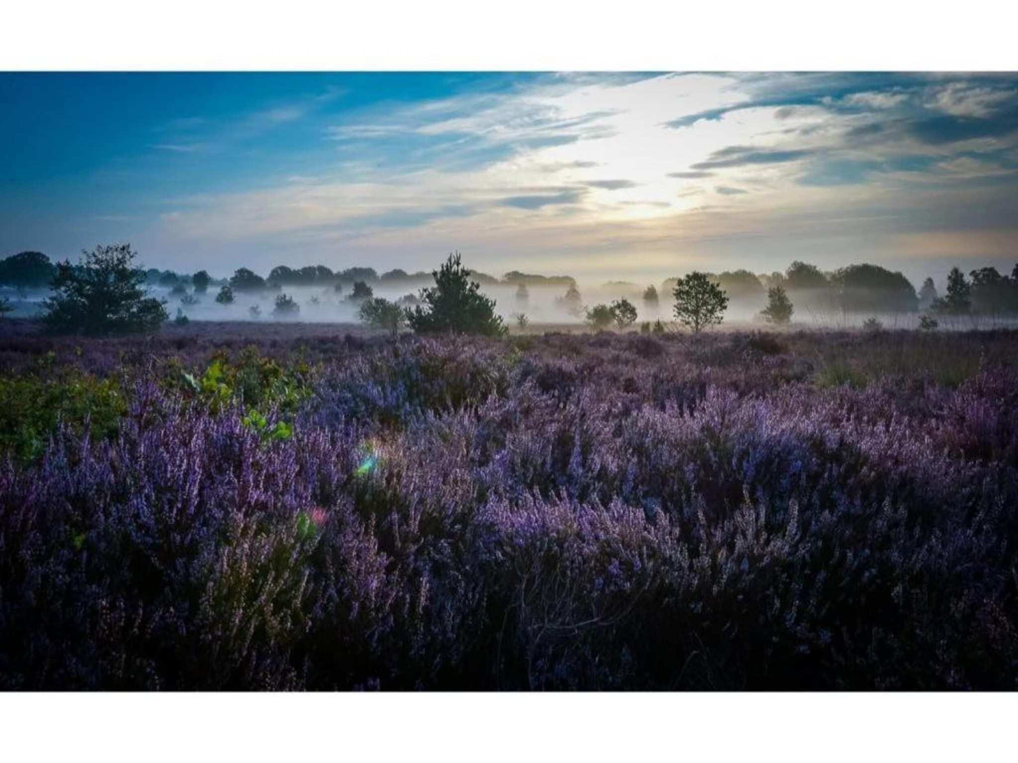 De omgeving van Buitenplaats Holten 10 in Rijssen