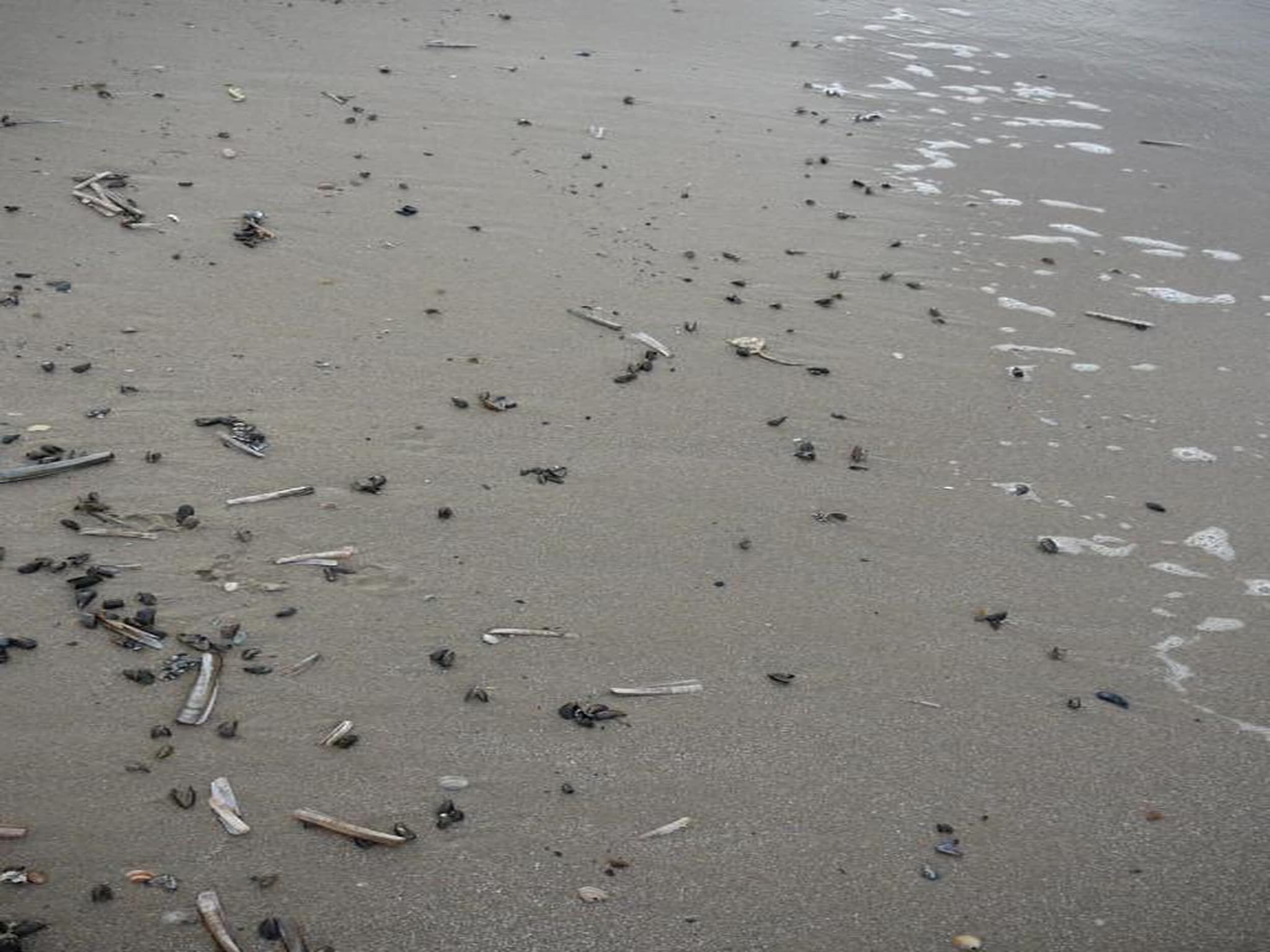 Strandslag 115 in Julianadorp aan Zee - Foto 34 van 40