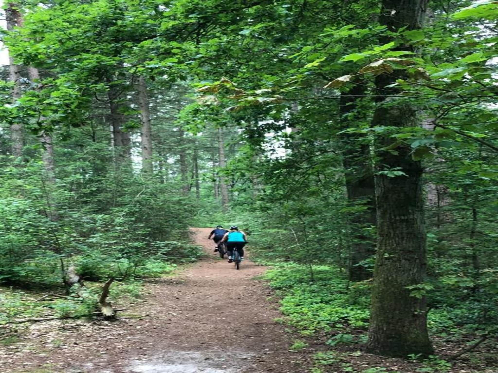 De omgeving van Bospark 't Wolfsven 10 in Mierlo
