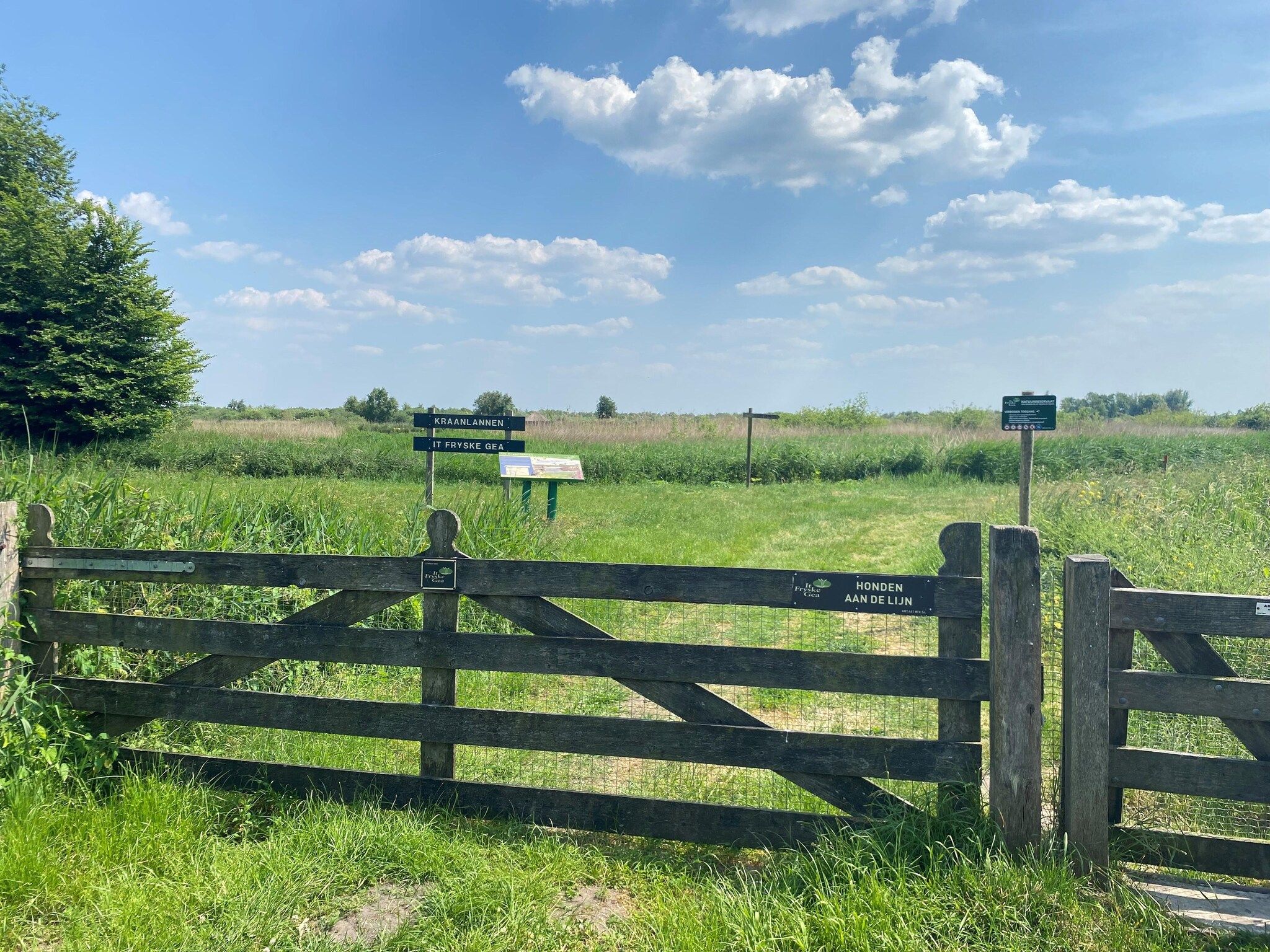 Chalet Jildau in De Veenhoop - Foto 23 van 40